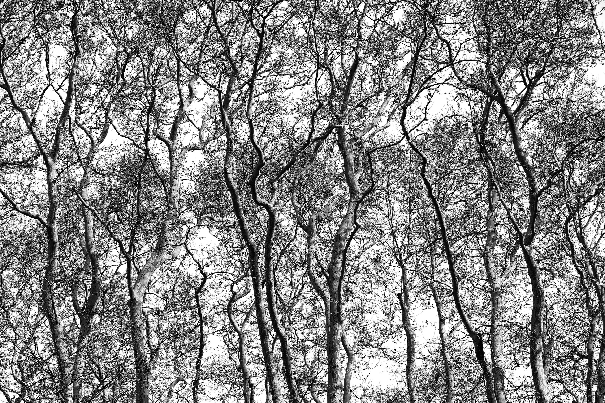 2025 год. Тащилин Сергей. Фотографии. Жизнь. Хобби