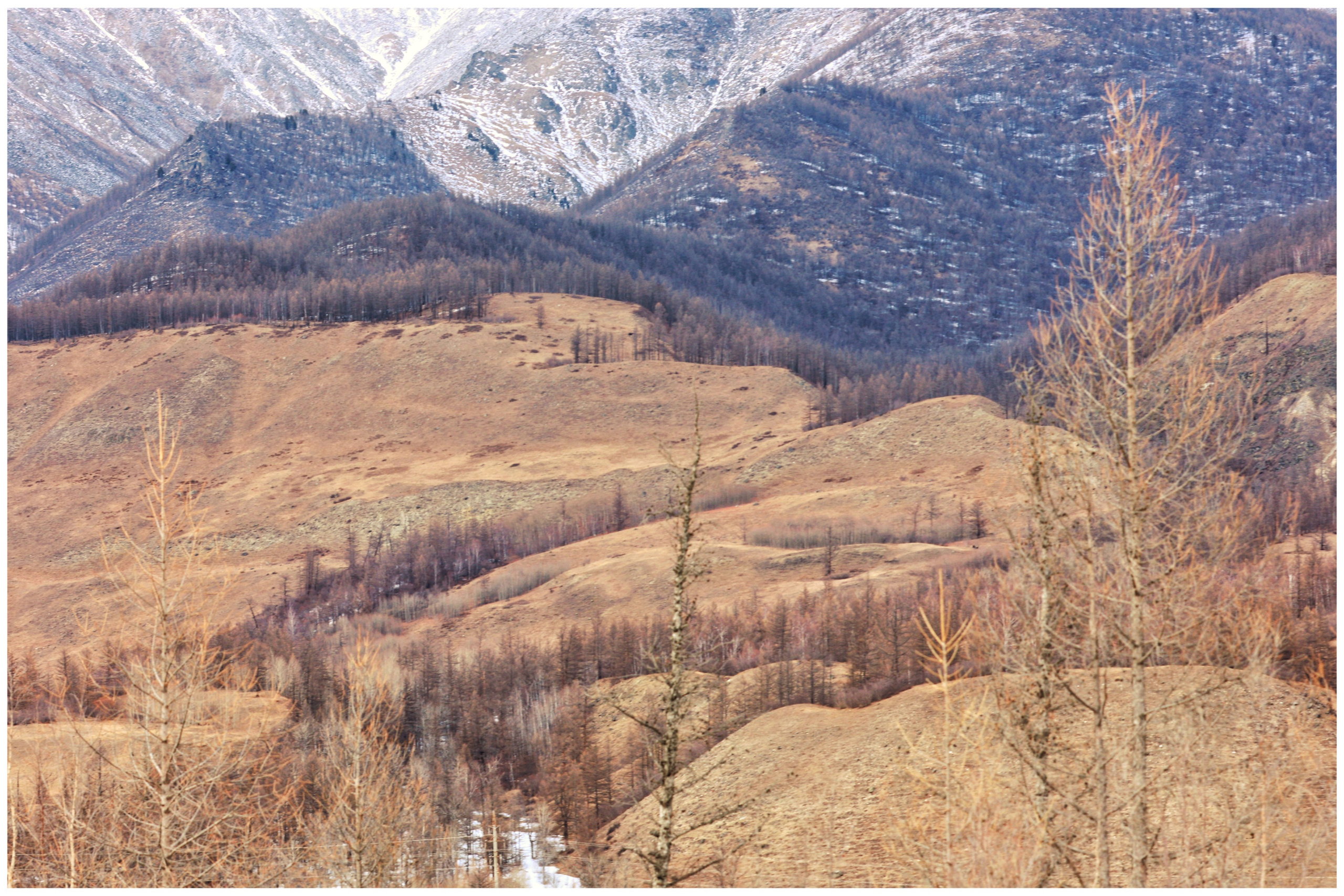 2024. Тащилин Сергей. Фотографии. Жизнь. Хобби