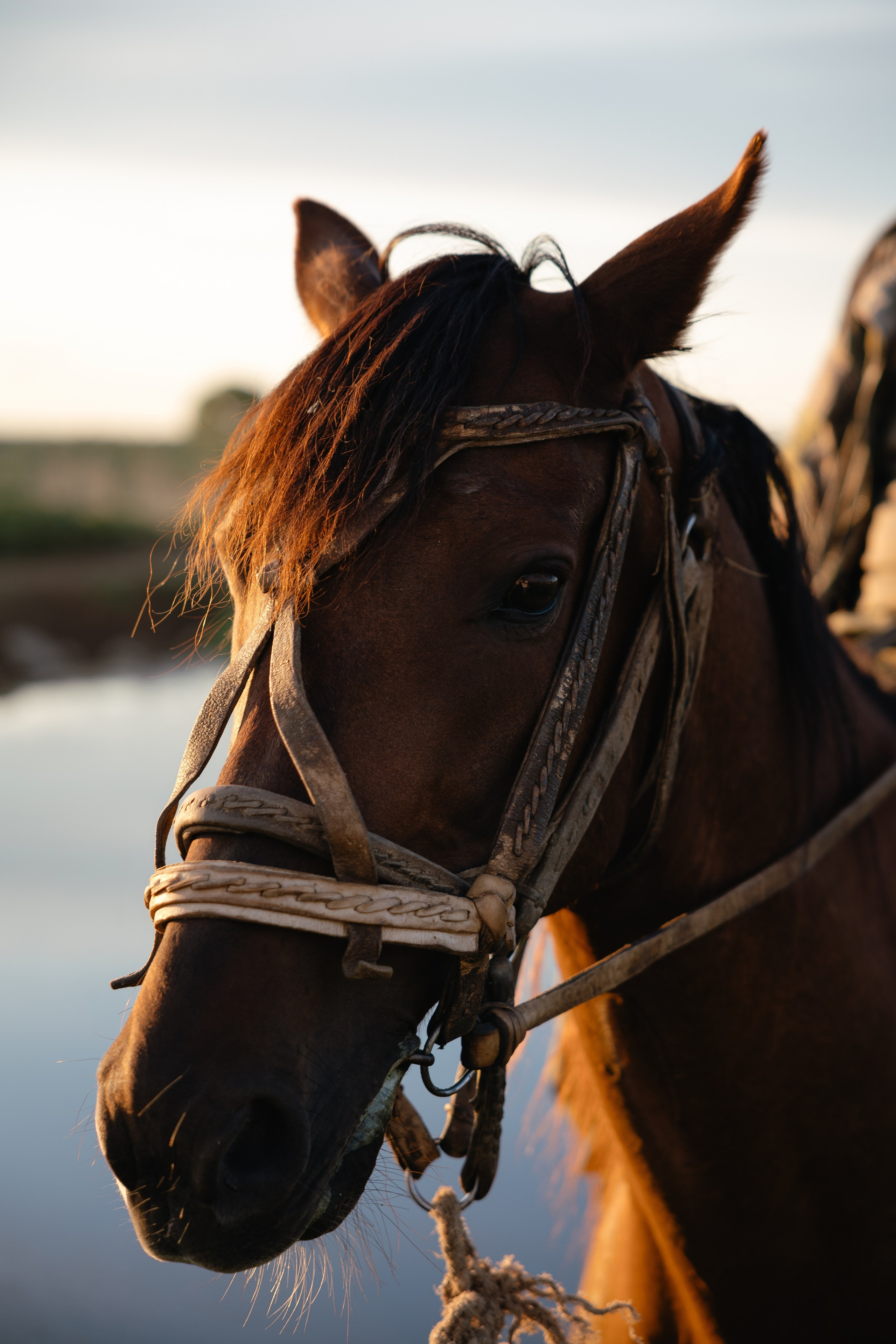 Д. Урасхан. Свадебный фотограф Виктория
