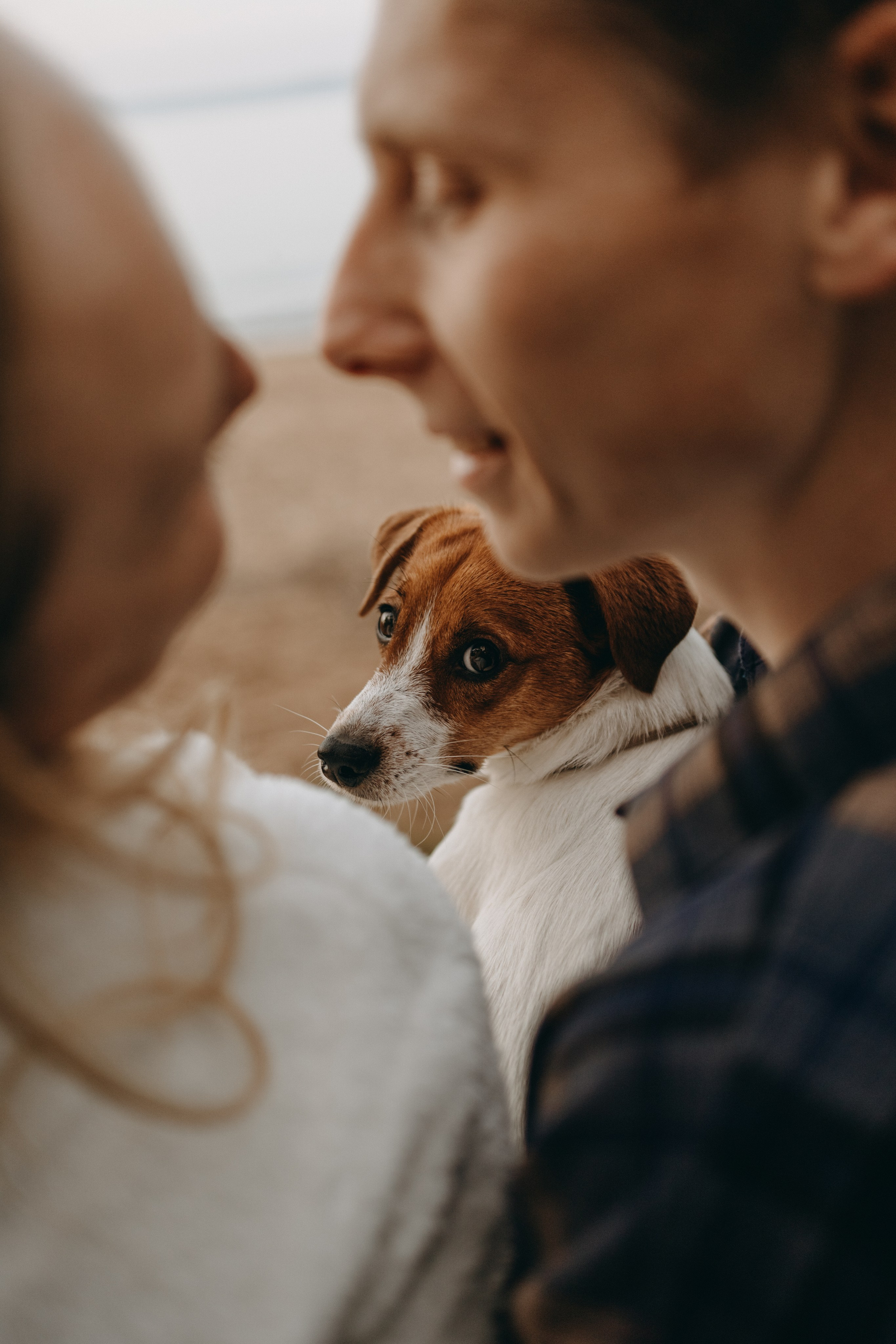 Лея и ее семья. Фотограф — Анималист | Санкт-Петербург