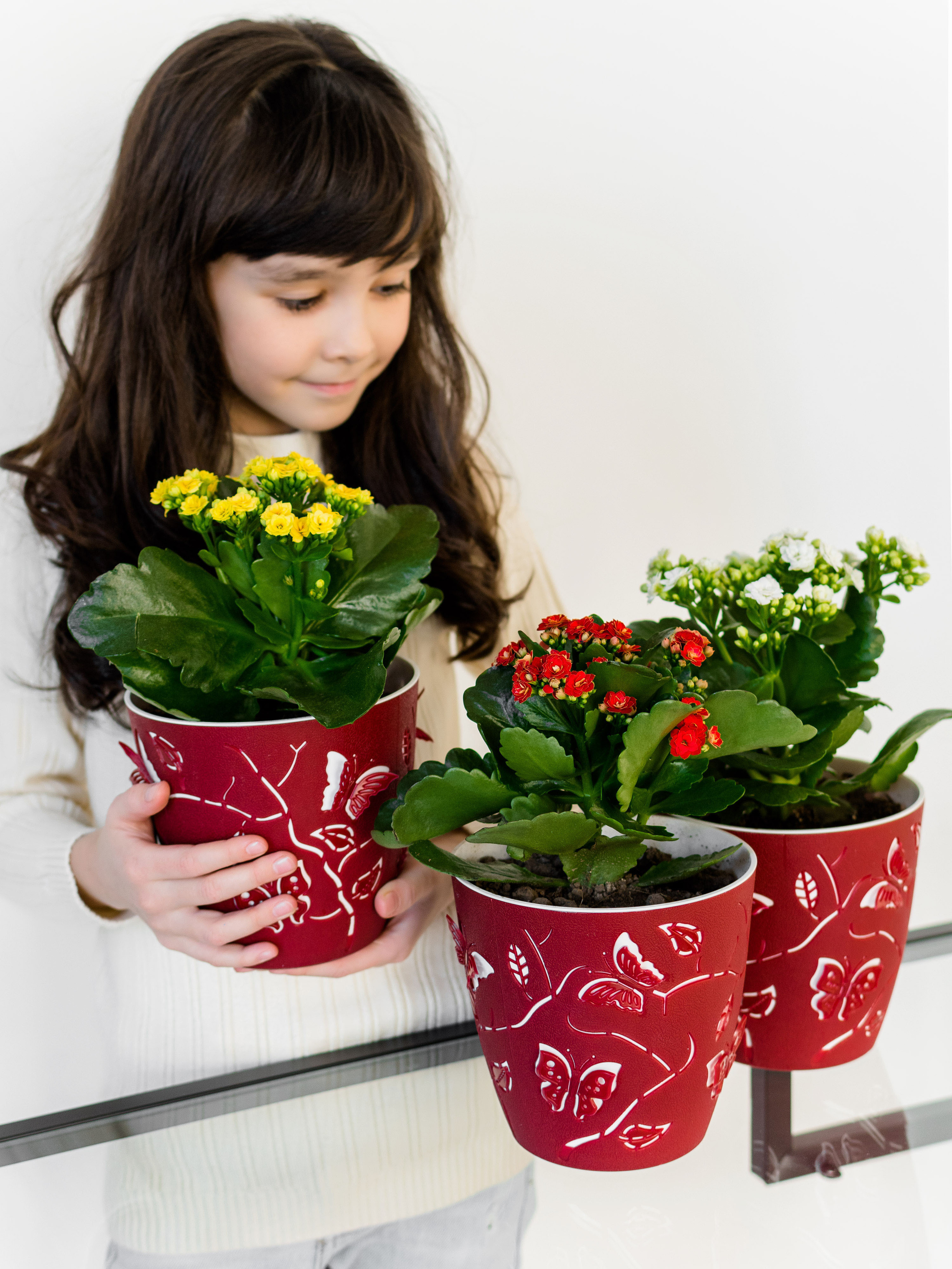 Предметка. Фотостудия Новочебоксарск