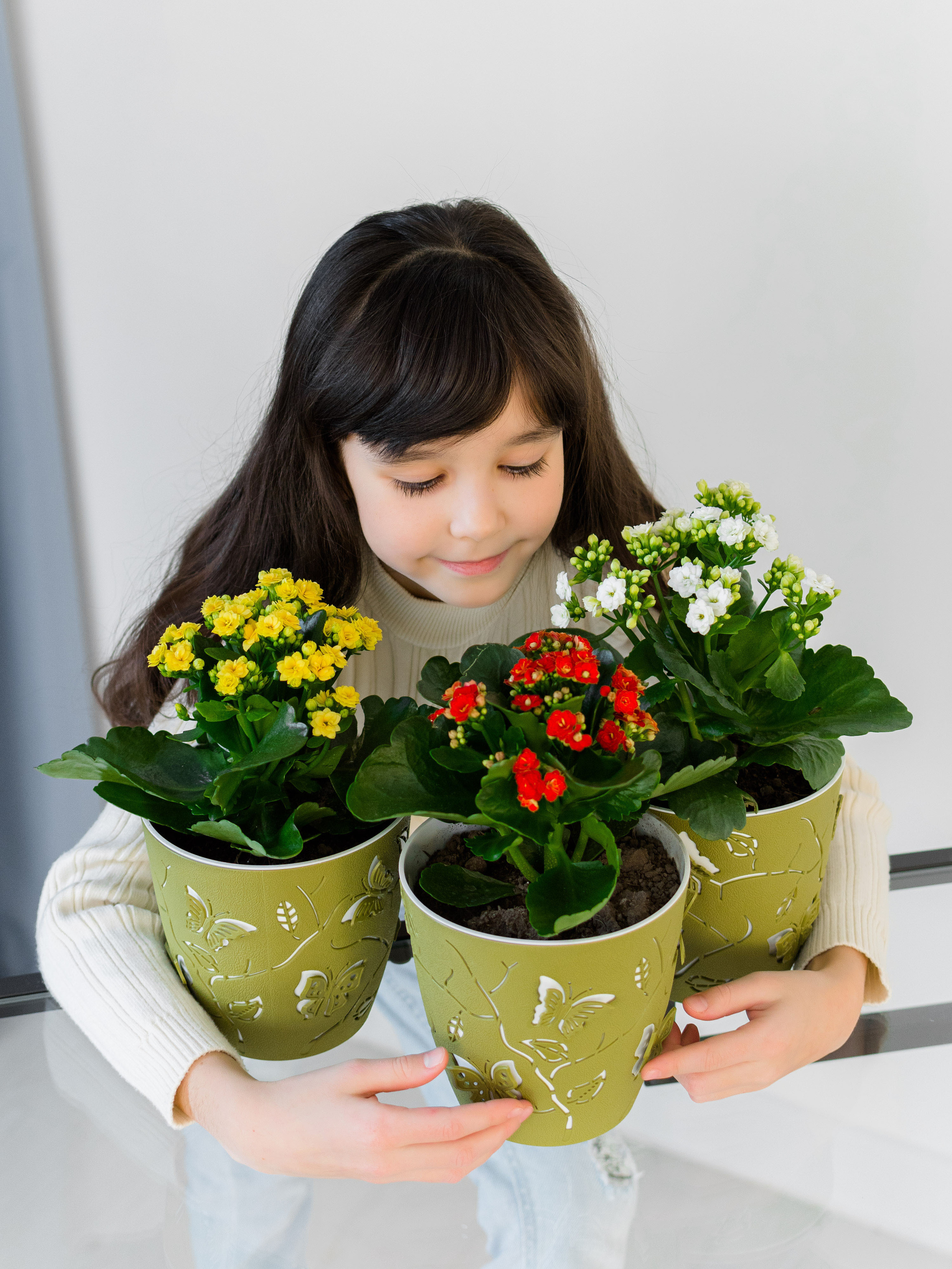 Предметка. Фотостудия Новочебоксарск