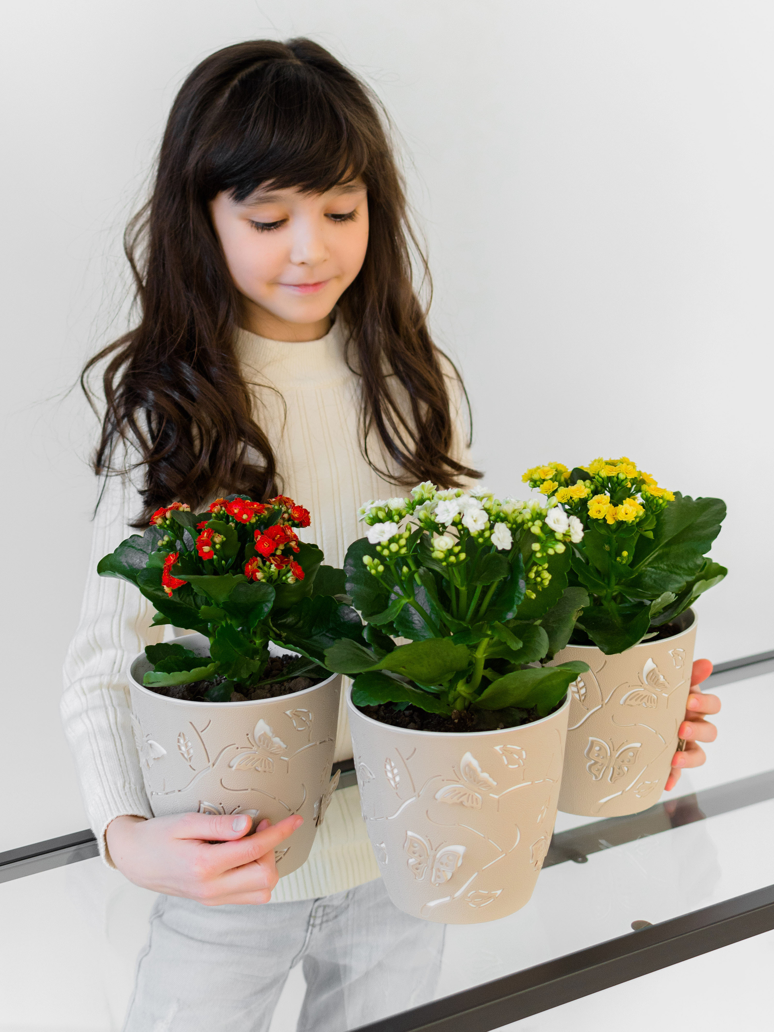 Предметка. Фотостудия Новочебоксарск