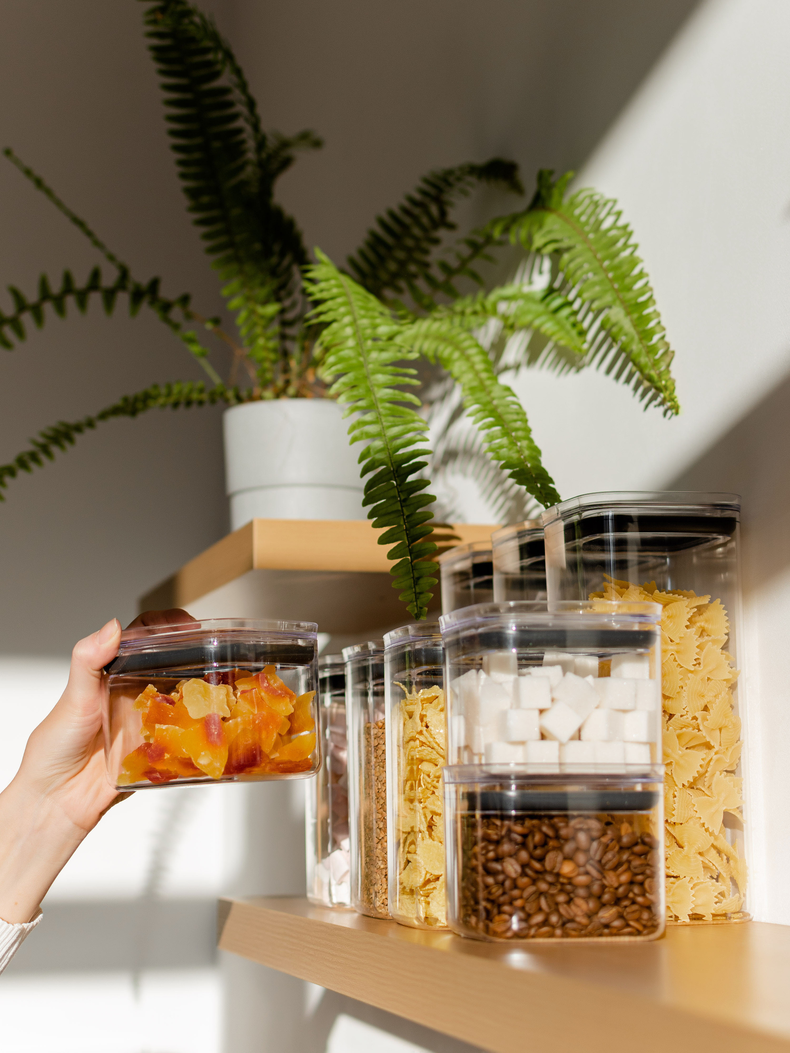 Предметка. Фотостудия Новочебоксарск