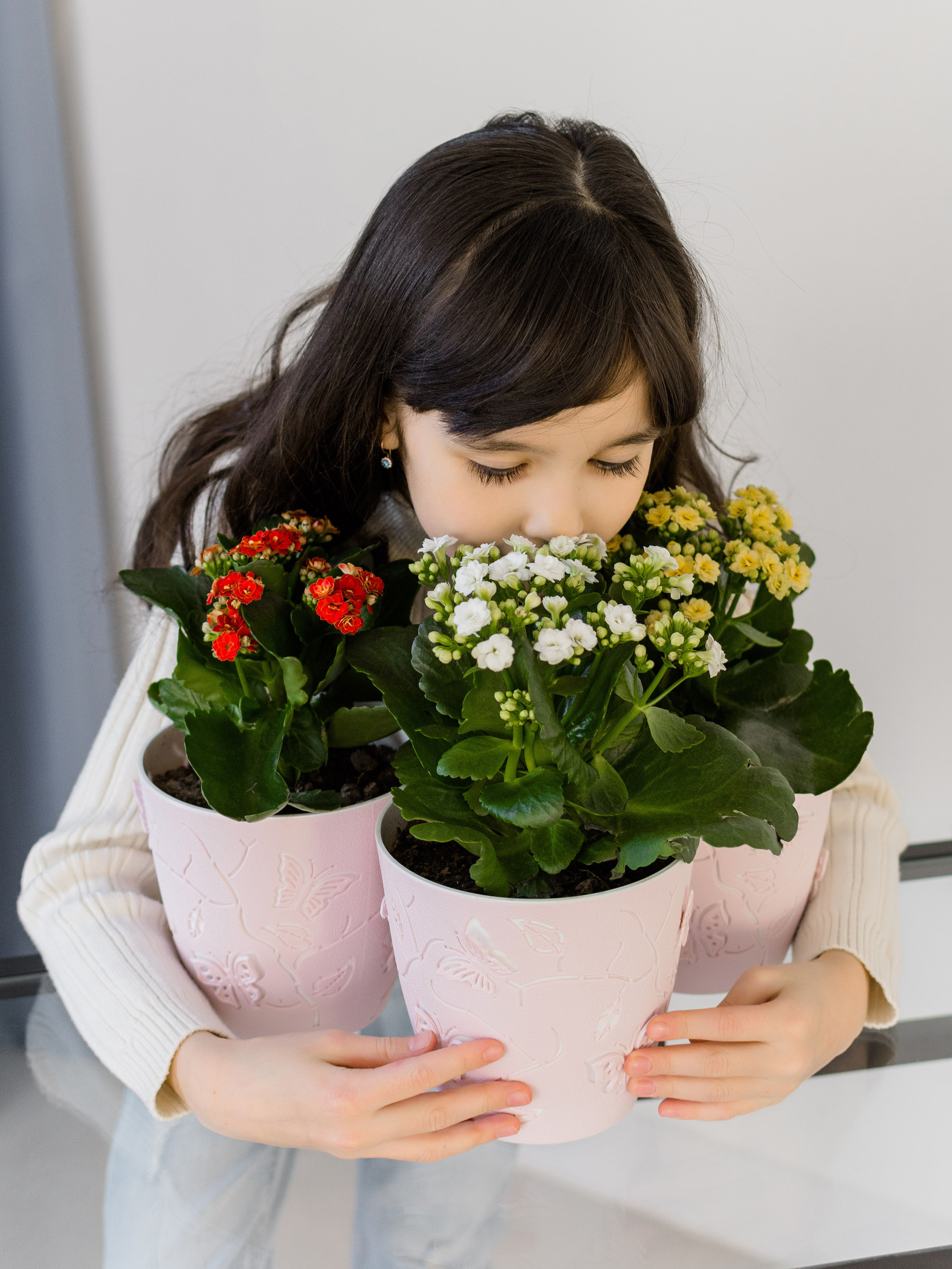 Предметка. Фотостудия Новочебоксарск