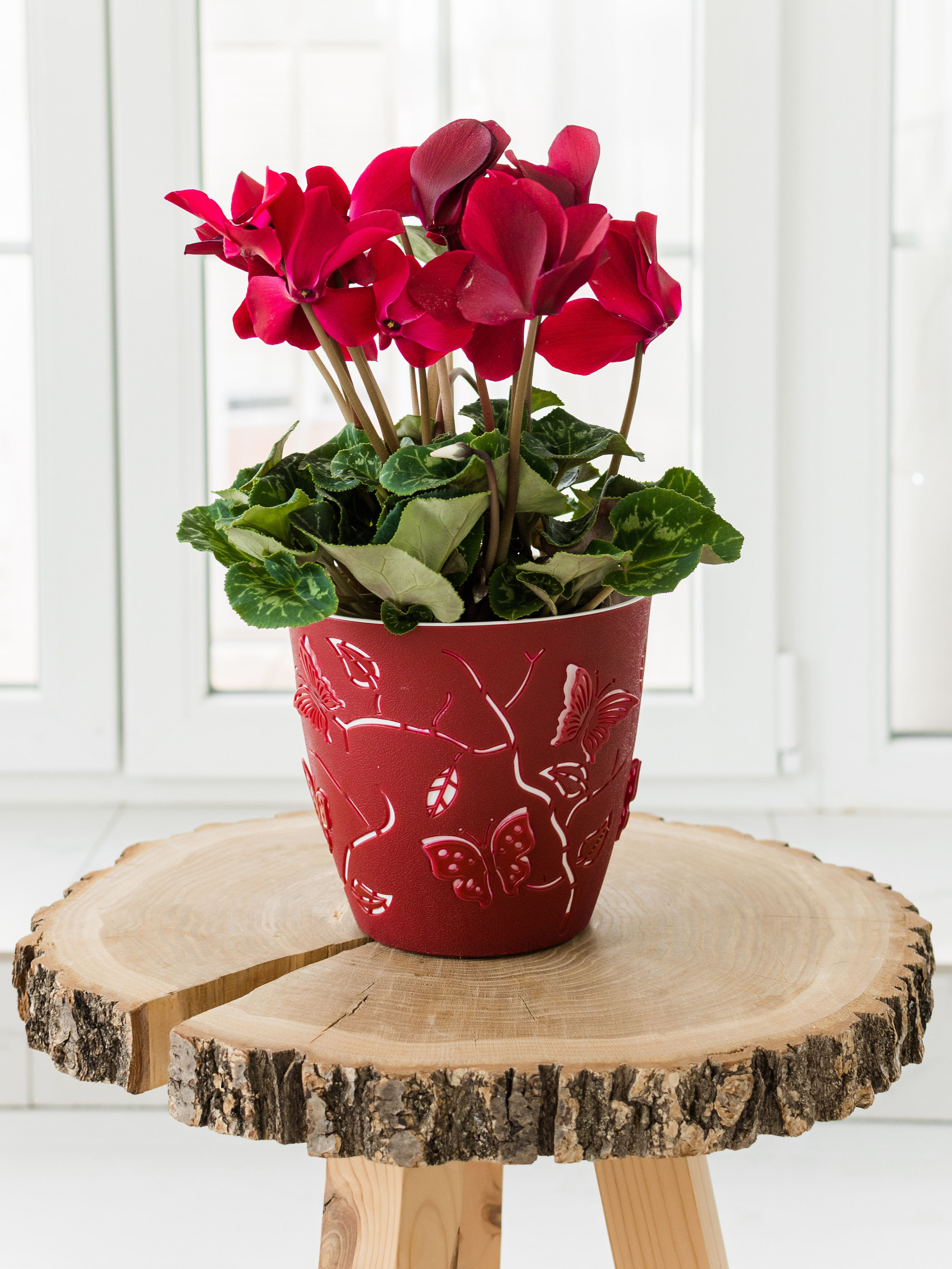 Предметка. Фотостудия Новочебоксарск