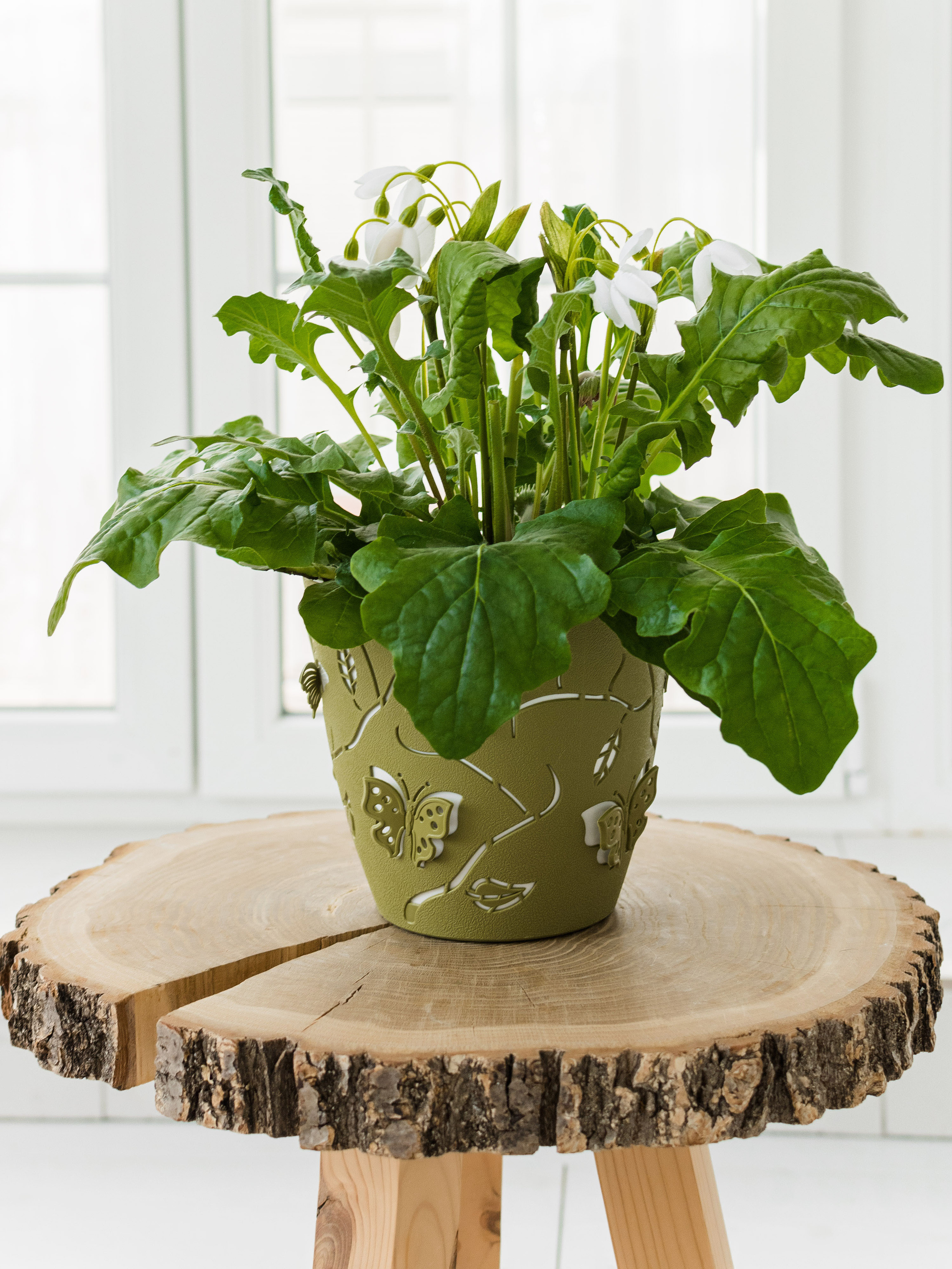 Предметка. Фотостудия Новочебоксарск