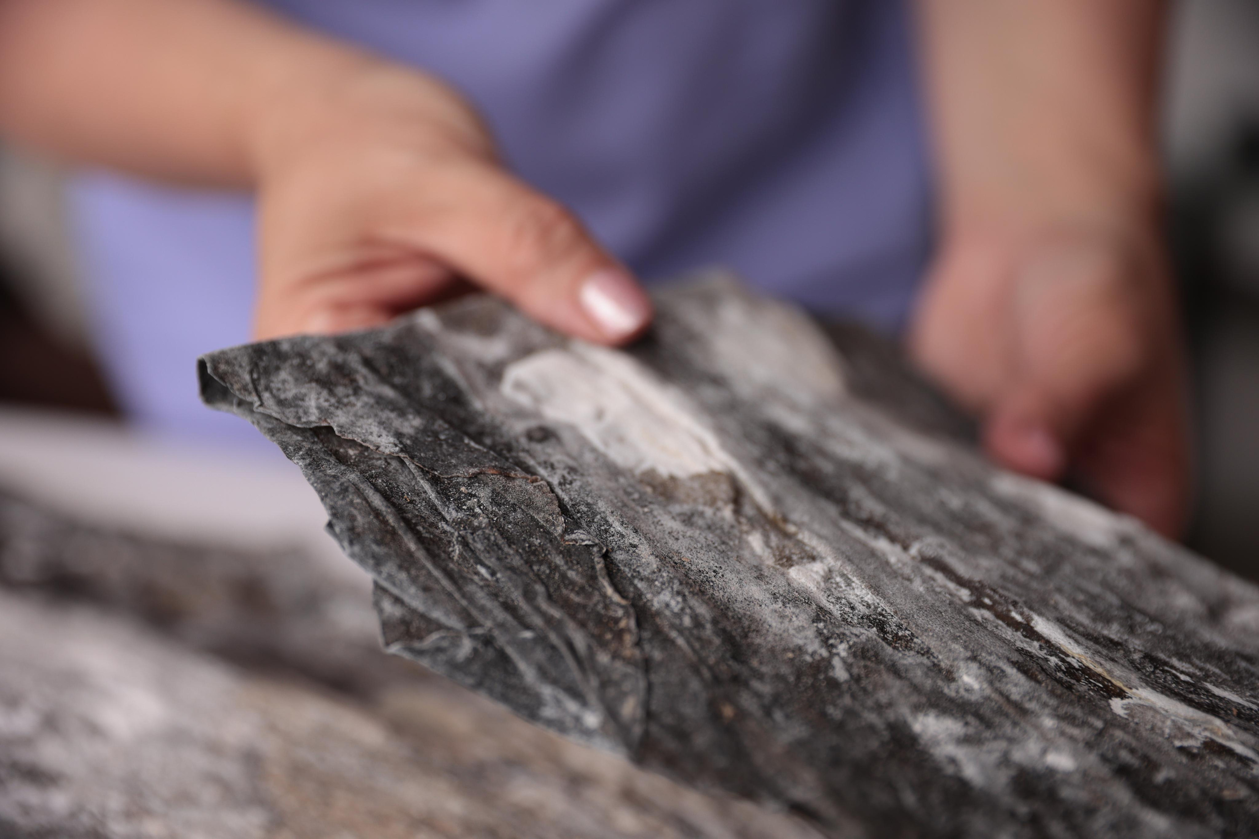 Надежда Байбородина, студия массажа. Семейный фотограф в Санкт-Петербурге Алиса Мохова