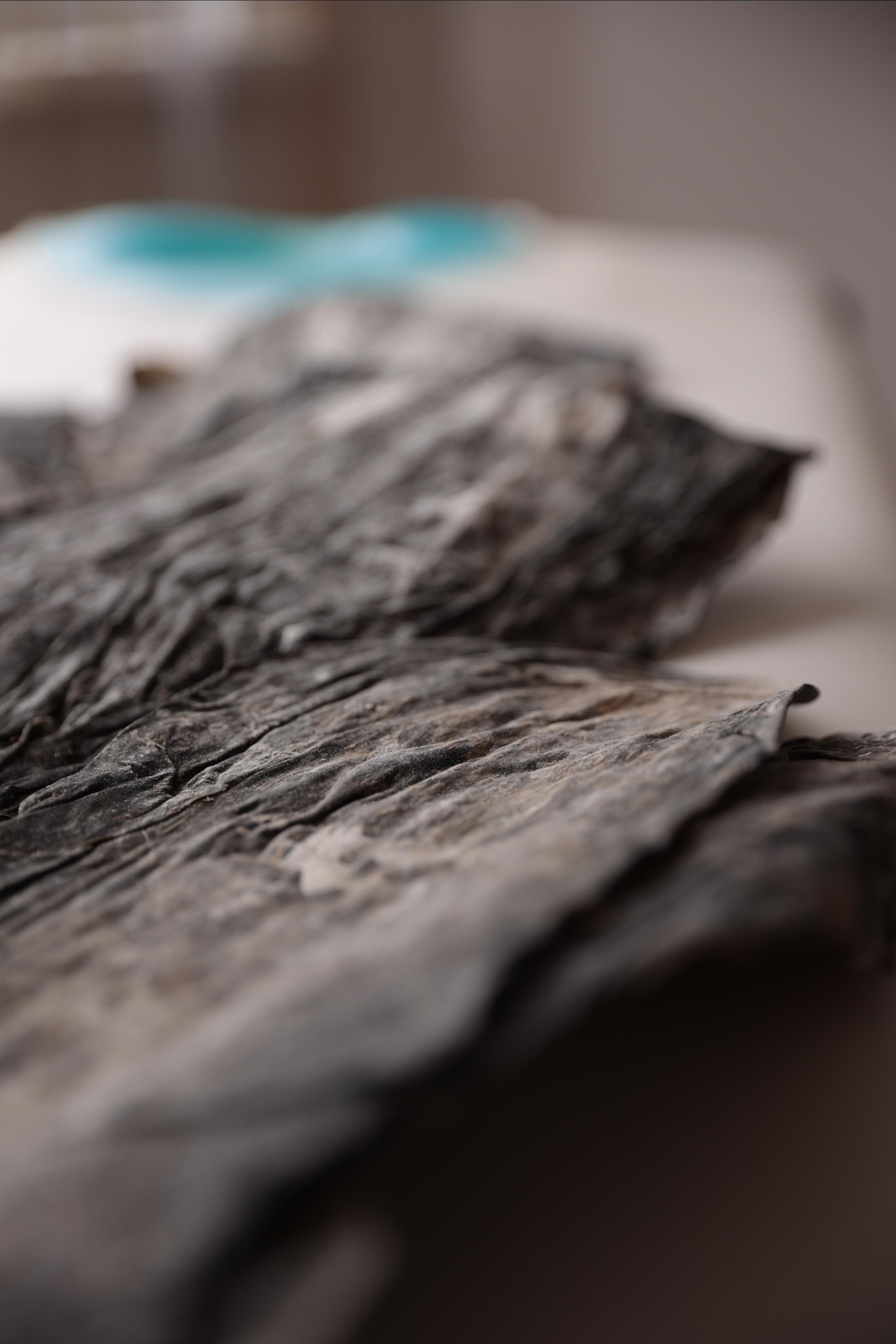 Надежда Байбородина, студия массажа. Семейный фотограф в Санкт-Петербурге Алиса Мохова