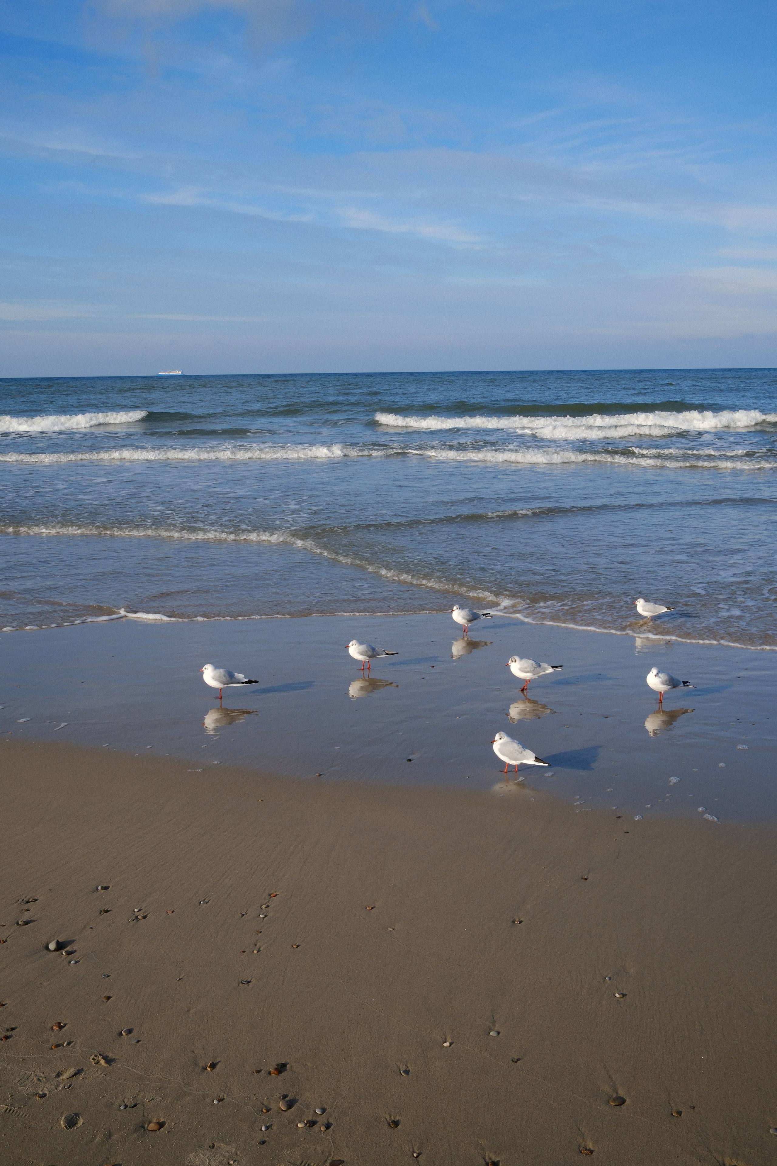 Зеленоградск. Калининградская область. Алексей Торопов фотограф
