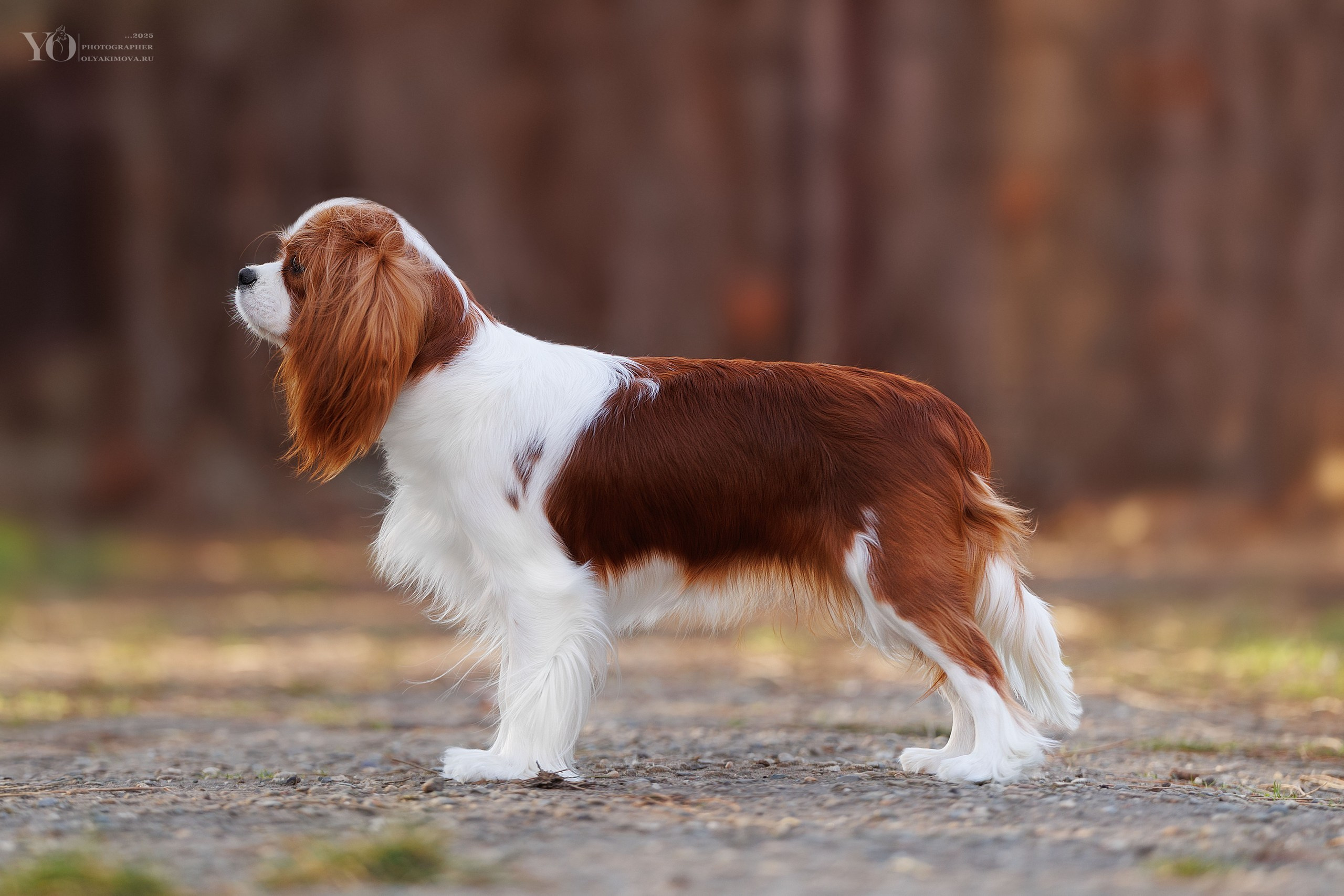 Экстерьер. Фотограф