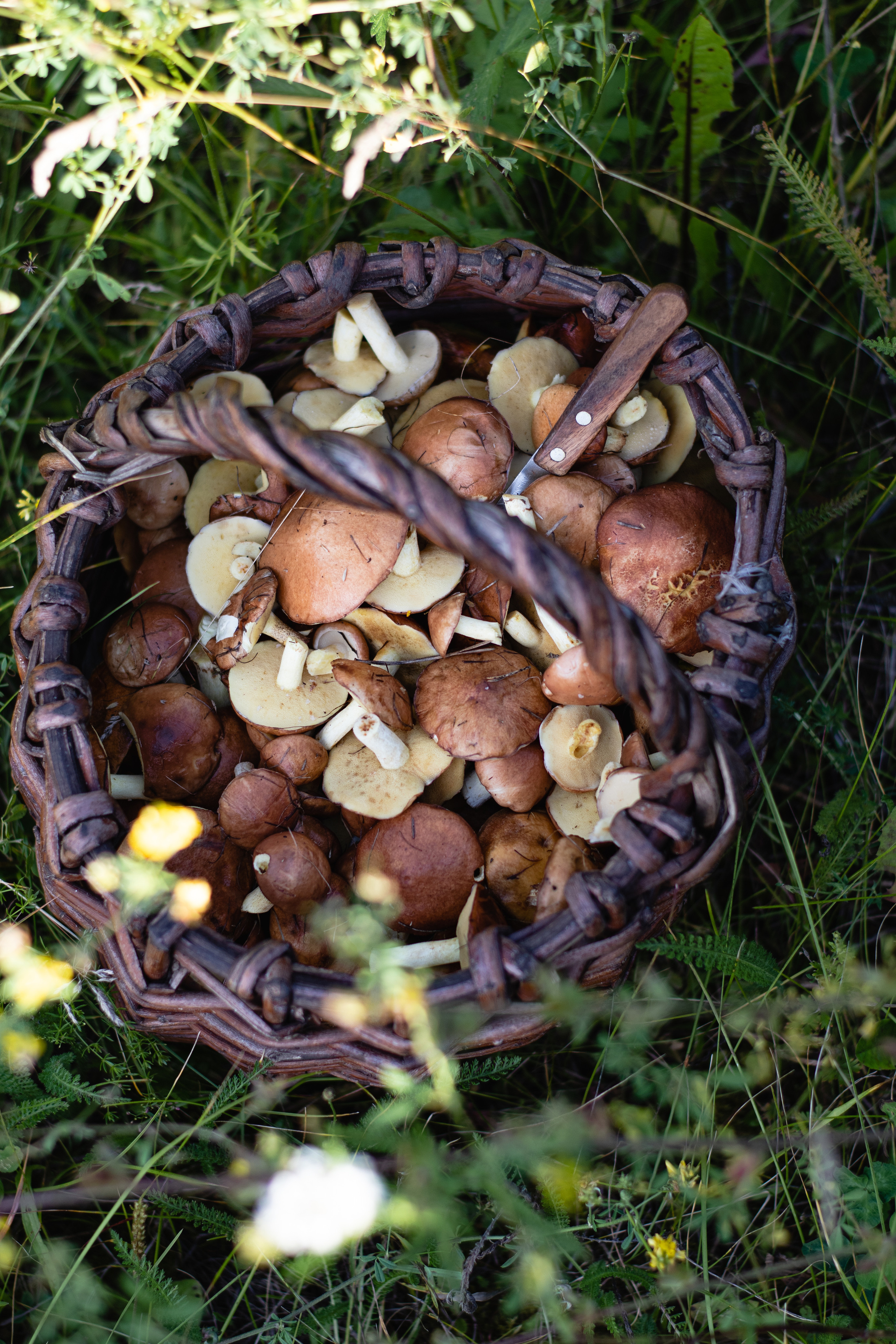 Творчество. Сандуца Мила — фотография со смыслом и душой