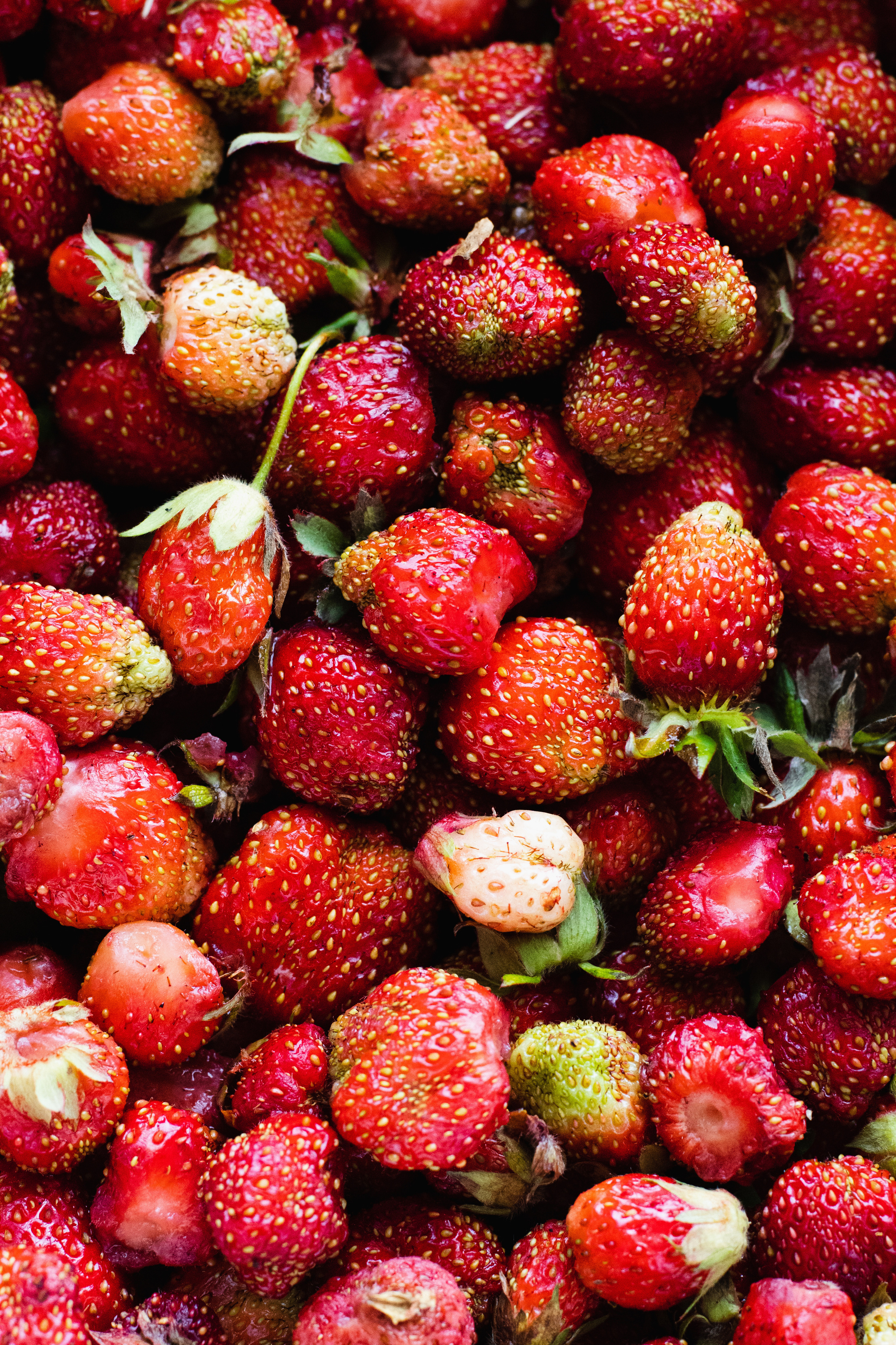 Творчество. Сандуца Мила — фотография со смыслом и душой