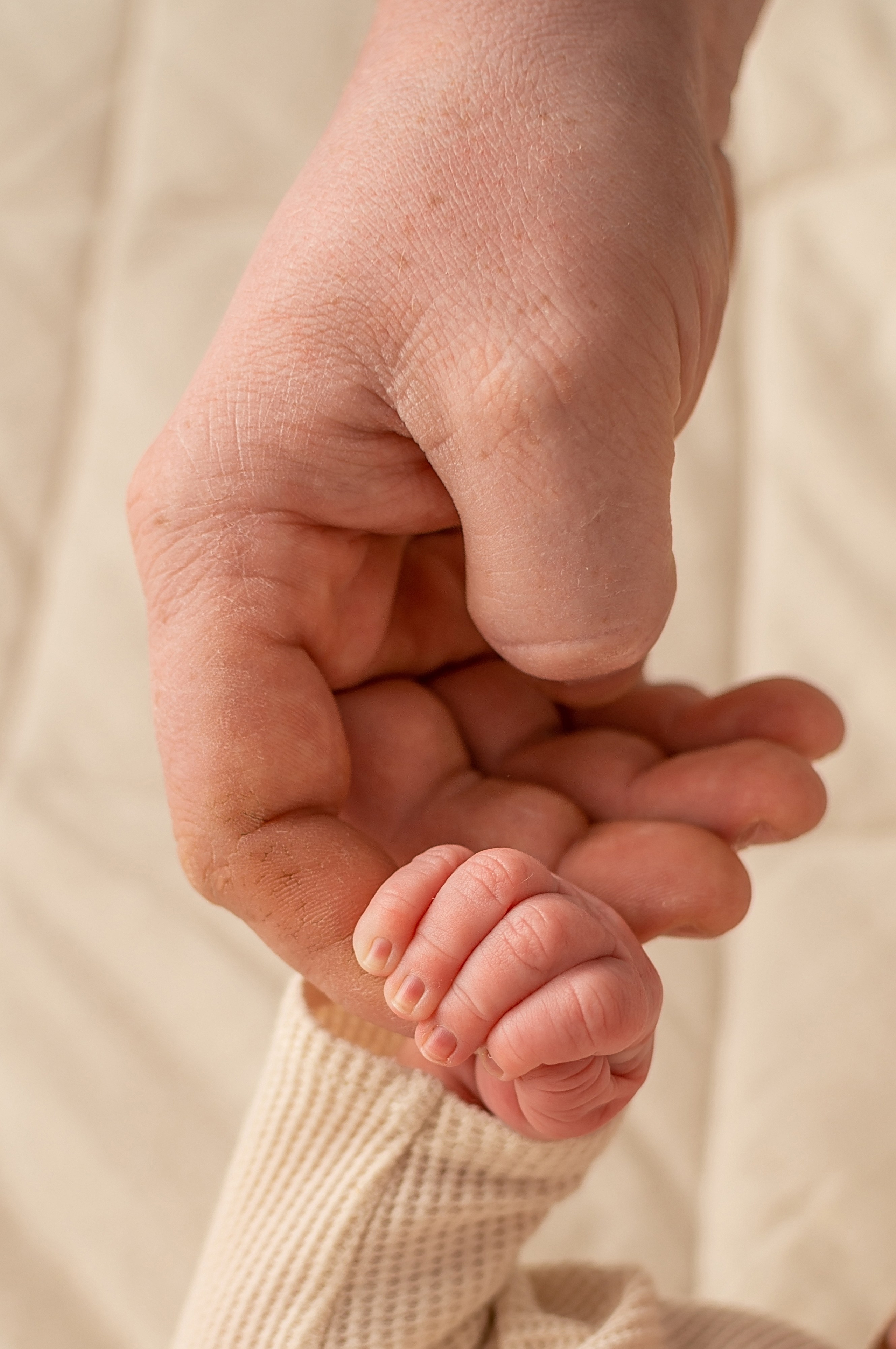 Семейная съёмка с новорожденным младенцем Краснодар. Фотограф новорожденных Краснодар Малышенко Надежда