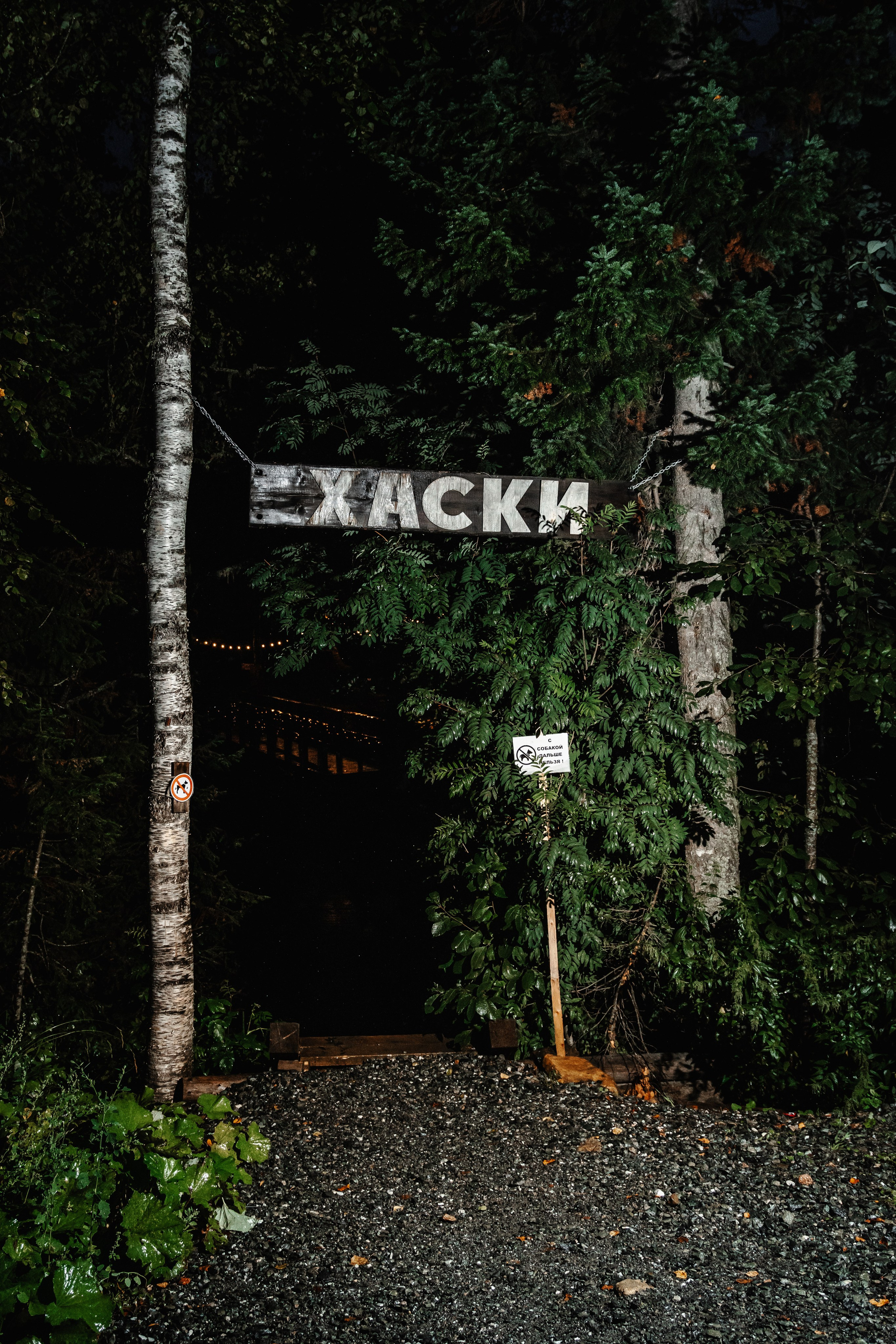 Дог-треккинг