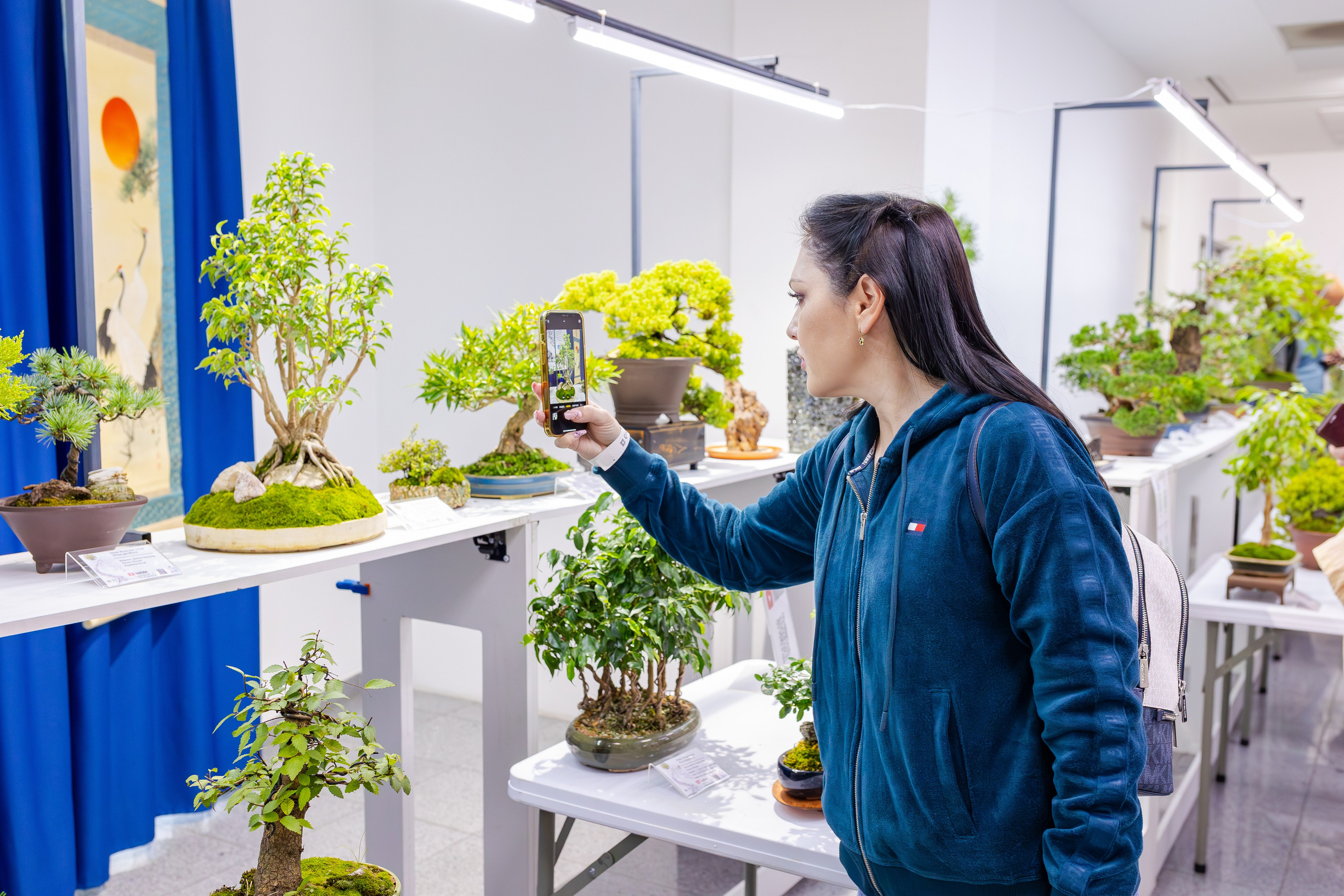 Орхидиум сентябрь 2025. Александра Куликова фотограф, Москва