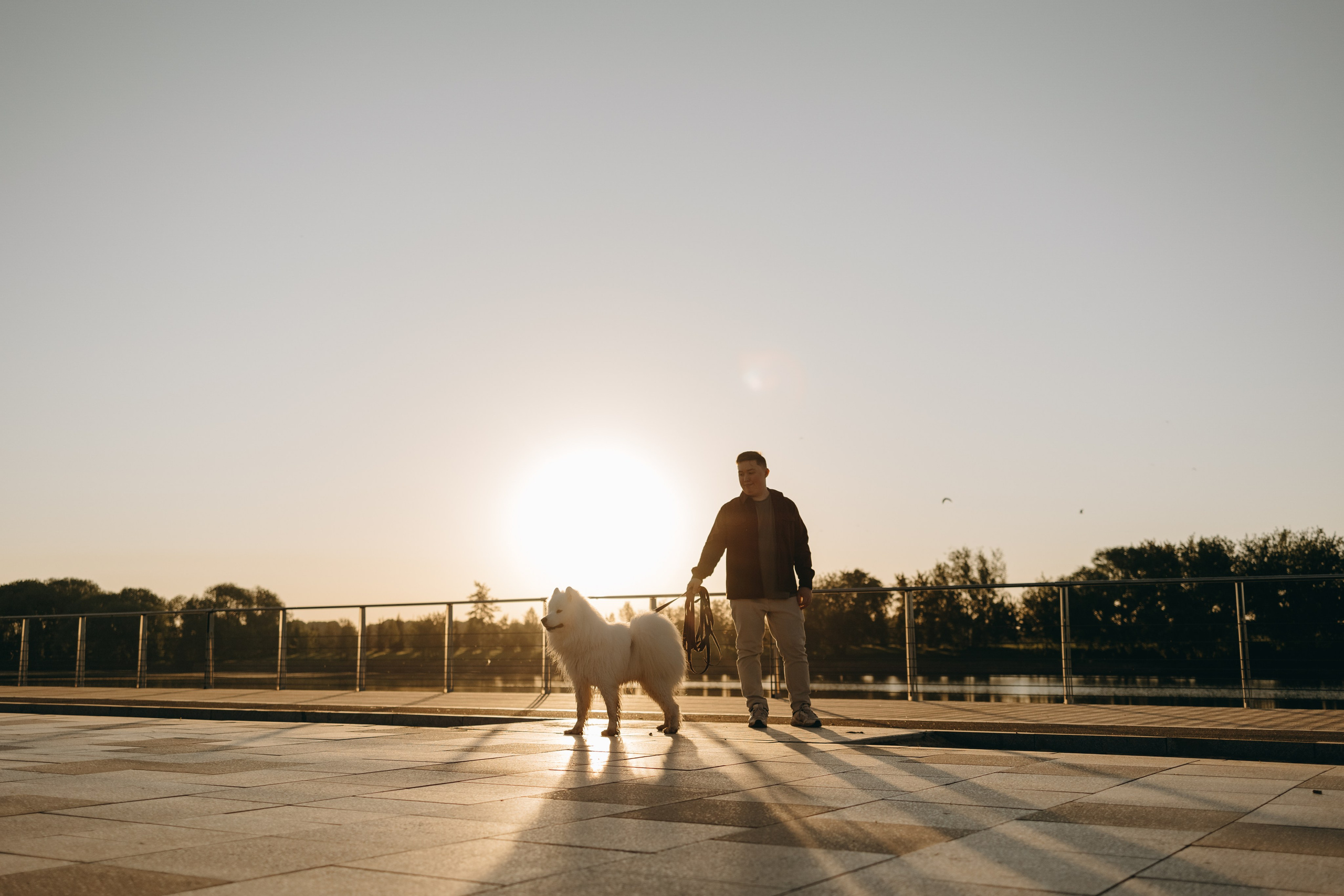 Танго и его семья. Фотограф — Анималист | Санкт-Петербург