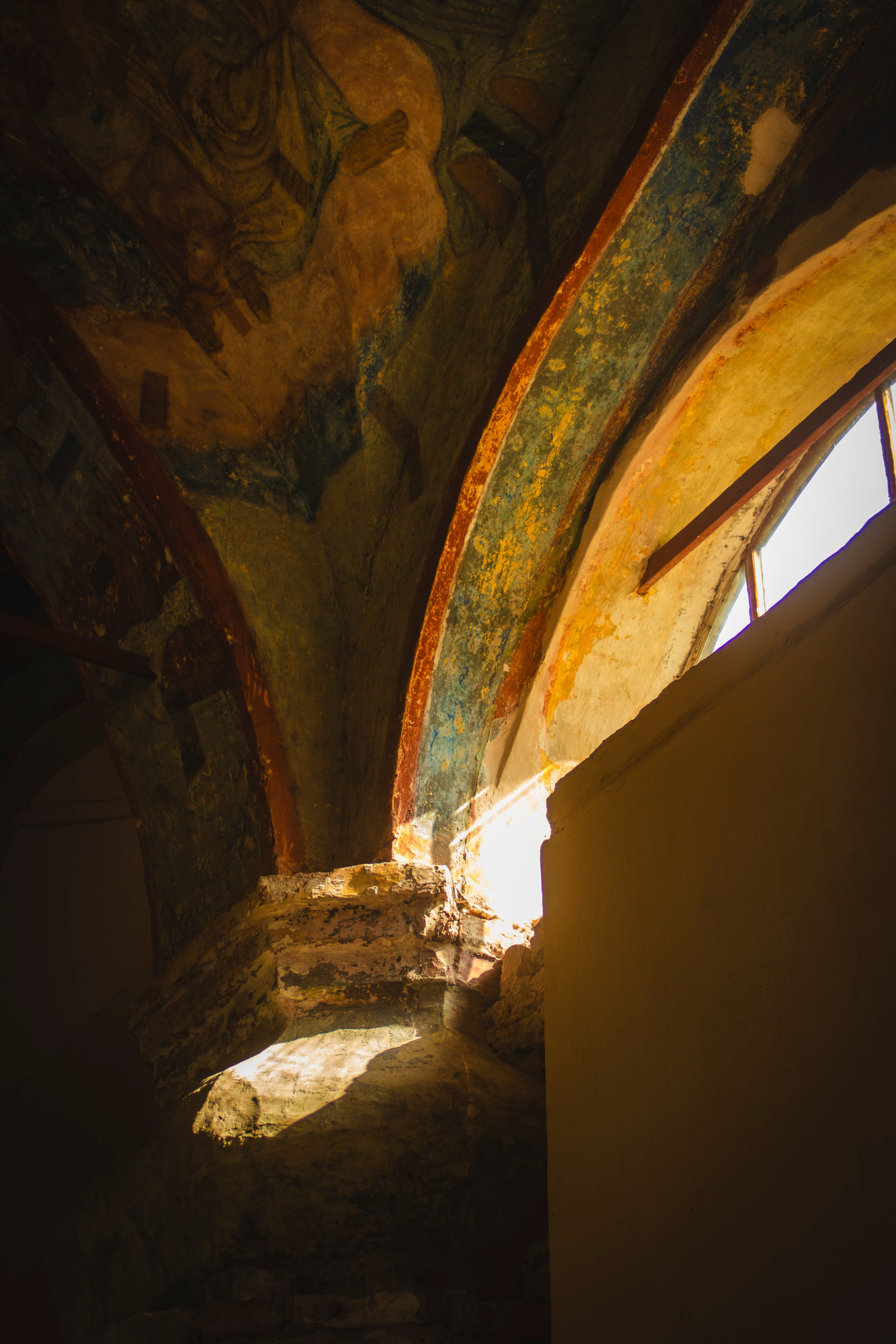 Из наблюдений. Плак или Квак