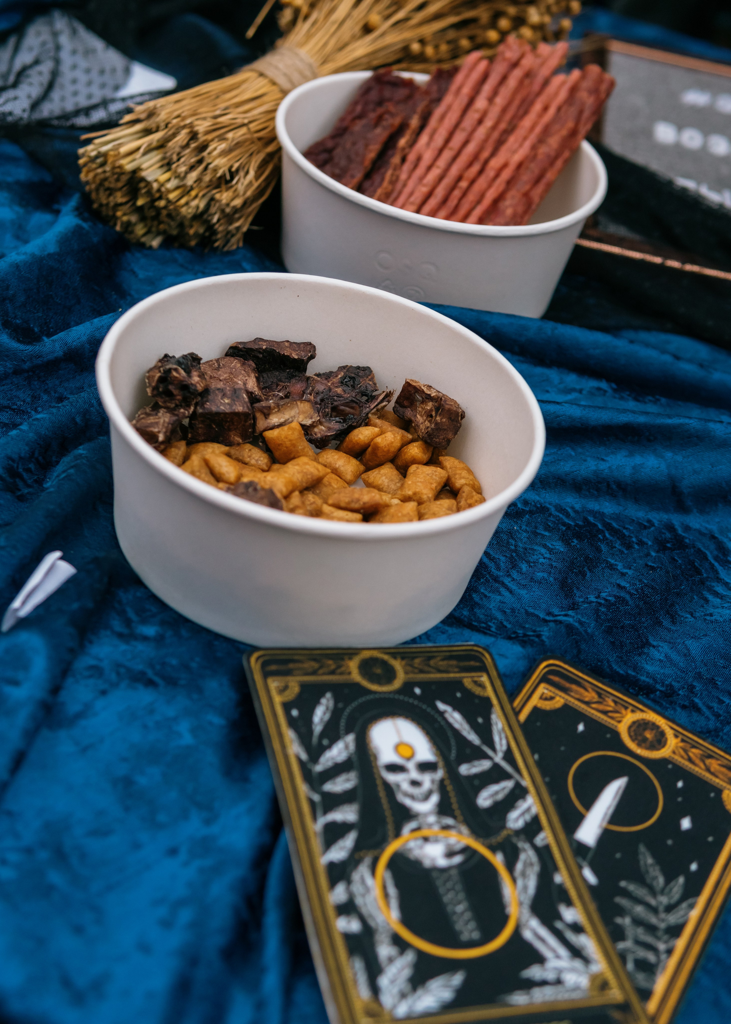 Тематическая встреча породников «Griffween». Фотограф-анималист Ксения Воробьева, Москва