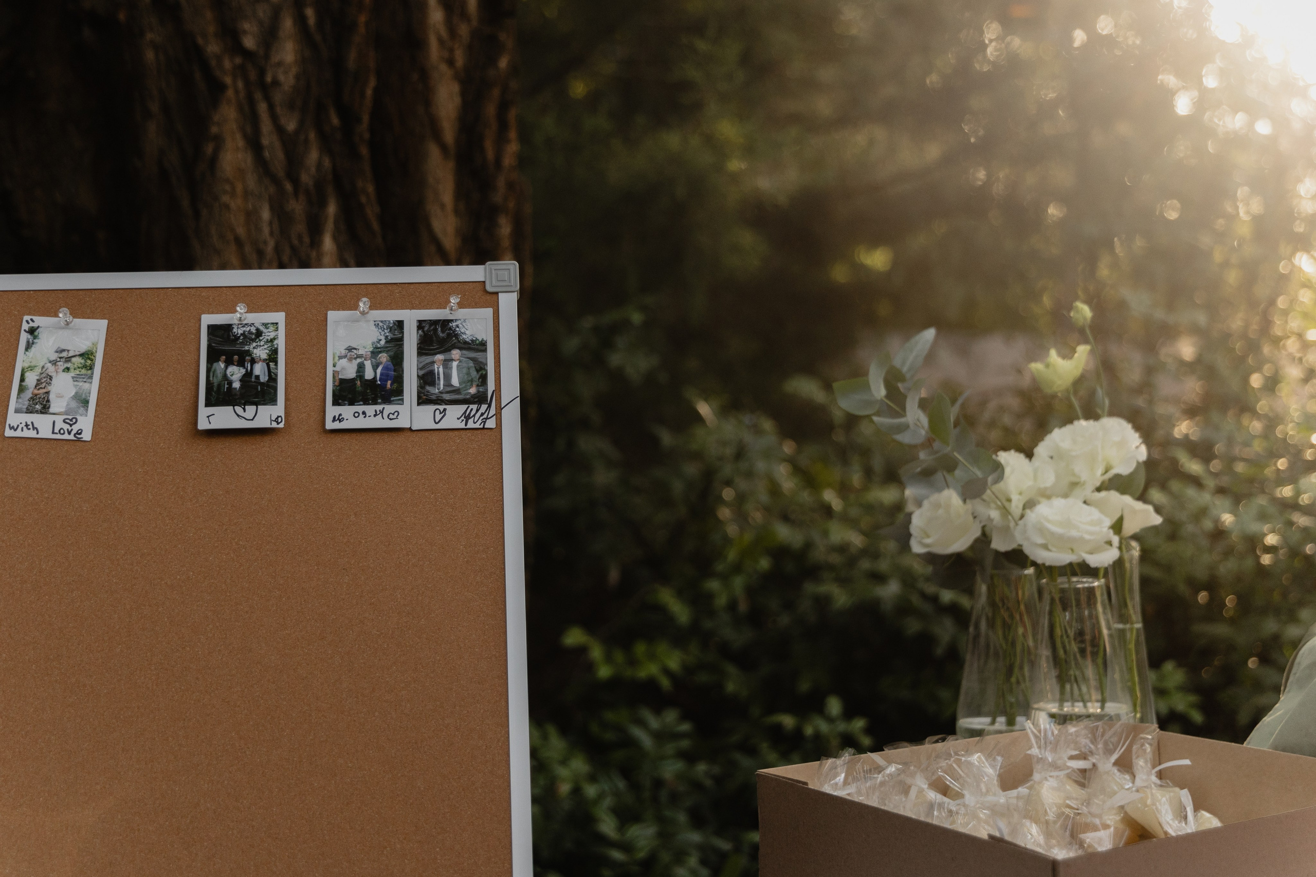 Georgy & Julia. Свадебный организатор в Ростове-на-Дону Яснов Роман