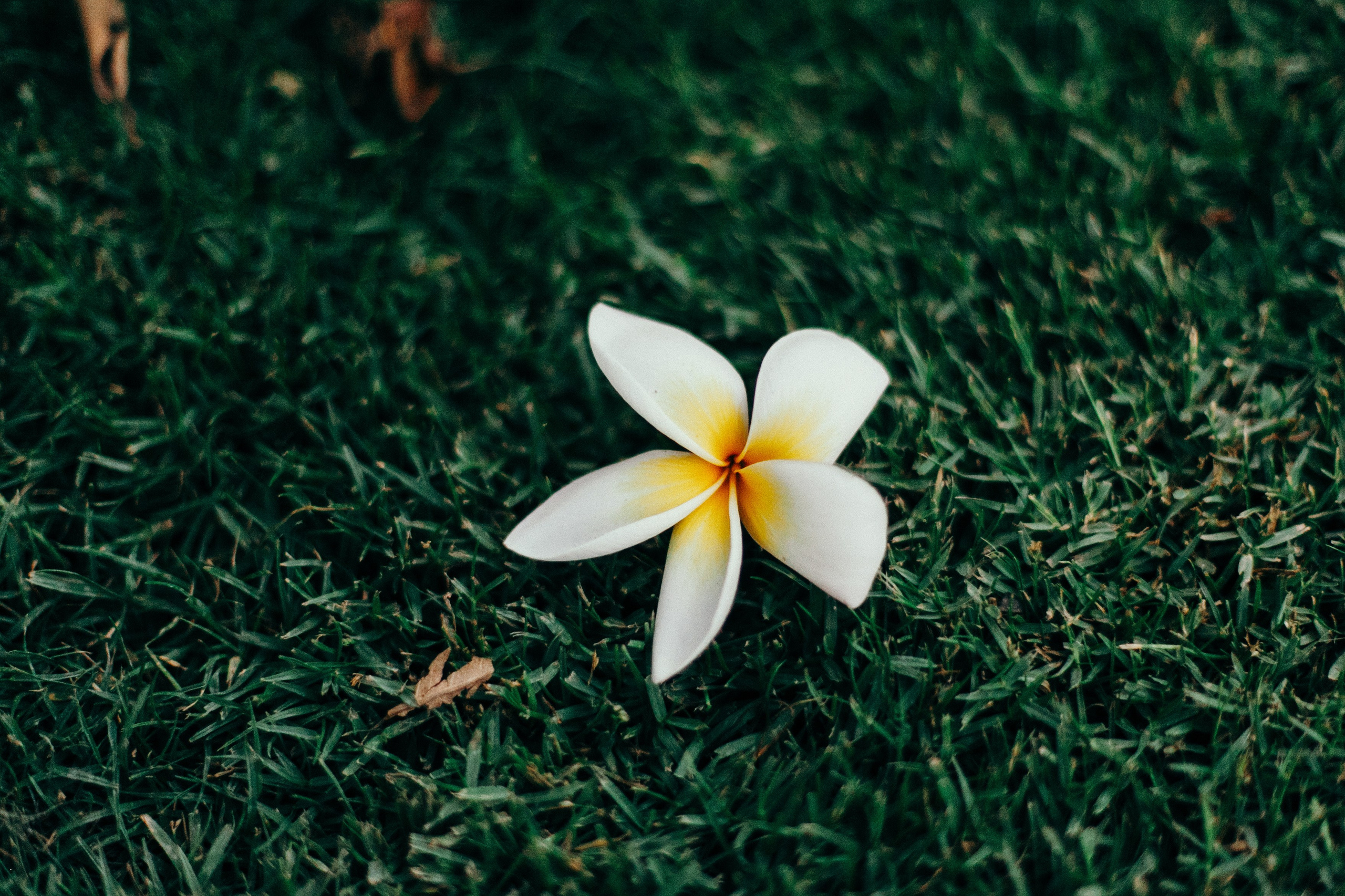 Малага. Аня Степанова