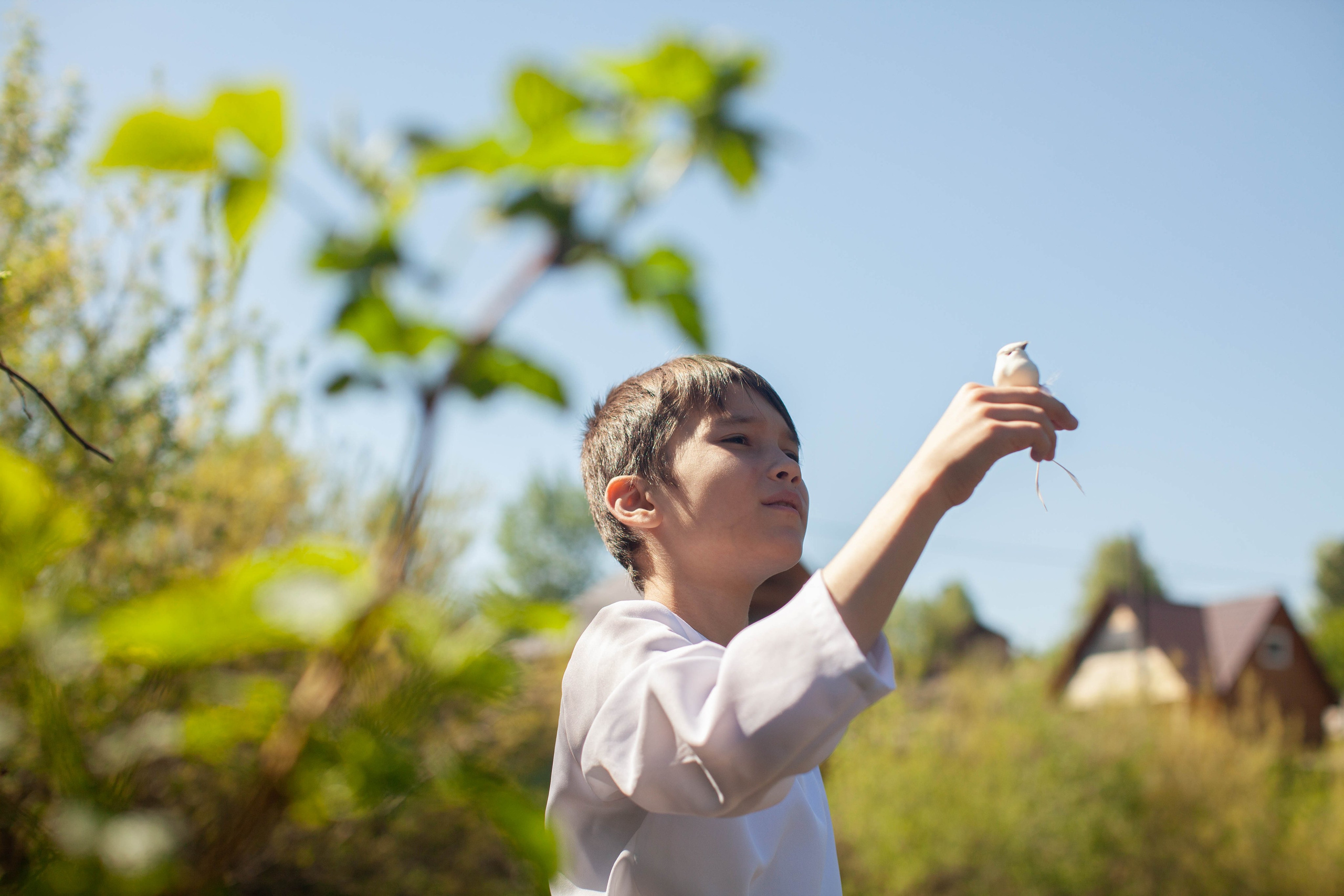 Летний день. Art my Pho