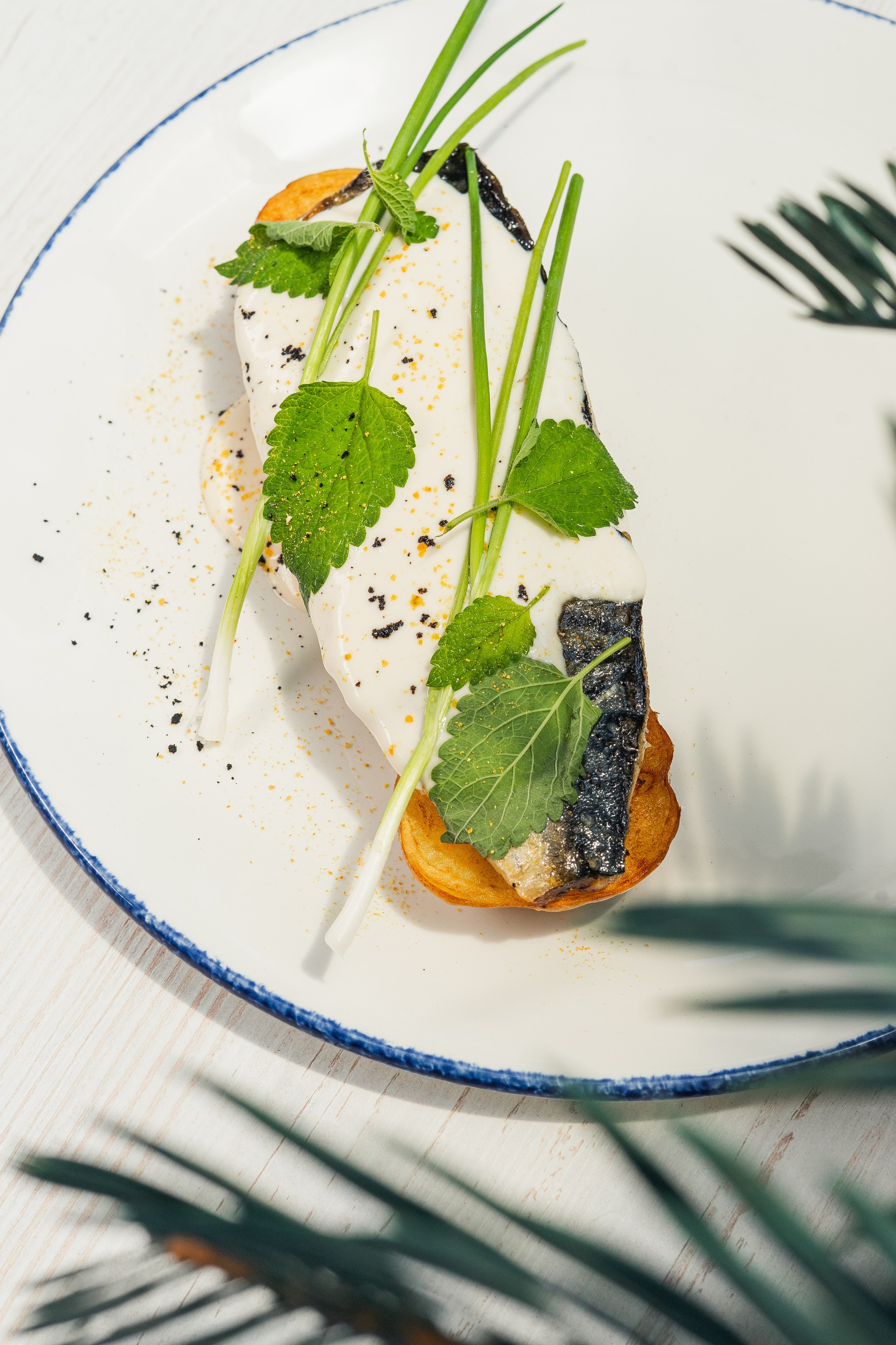 Фотосъёмка для Бизнеса на Пхукете – контент для продвижения, рекламы и маркетинга. Ян Долматов — фотограф, видеограф и продюсер на Пхукете, Таиланд