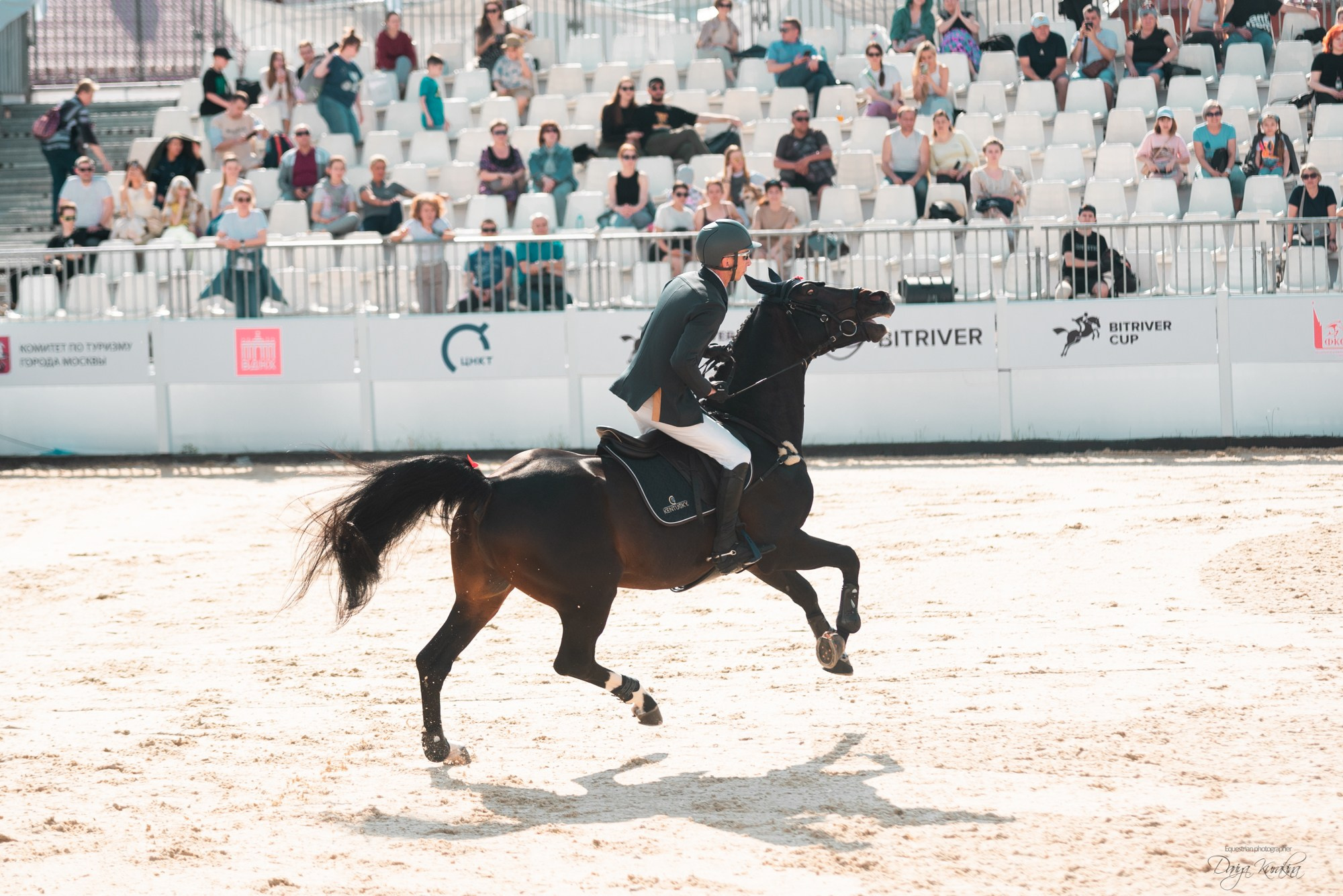 BITRIVER CUP 2023. Конный фотограф Куракина Дарья • Фотосессии с лошадьми
