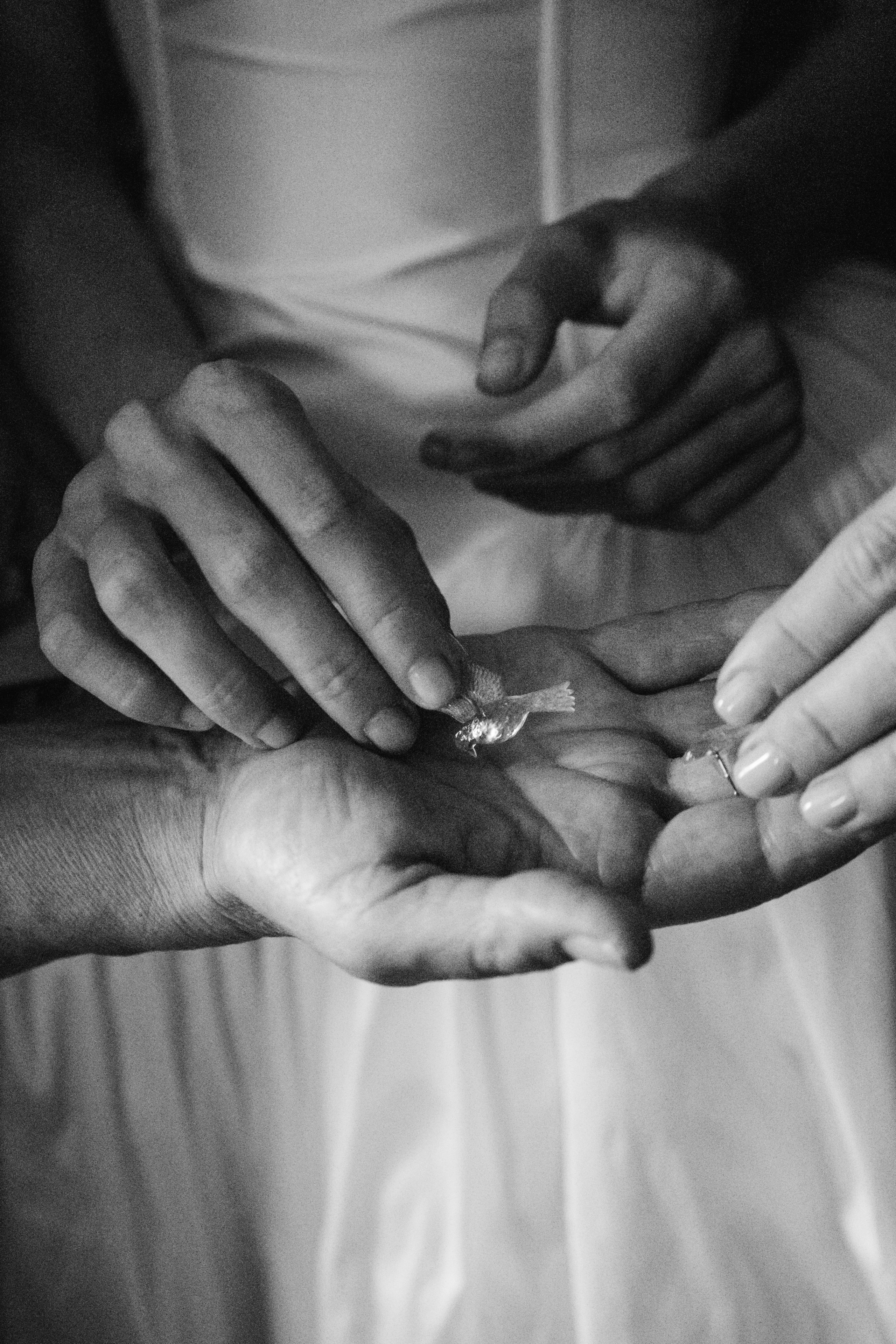 Вероника и Дмитрий. ФОТОГРАФ АЛИНА ФОКА