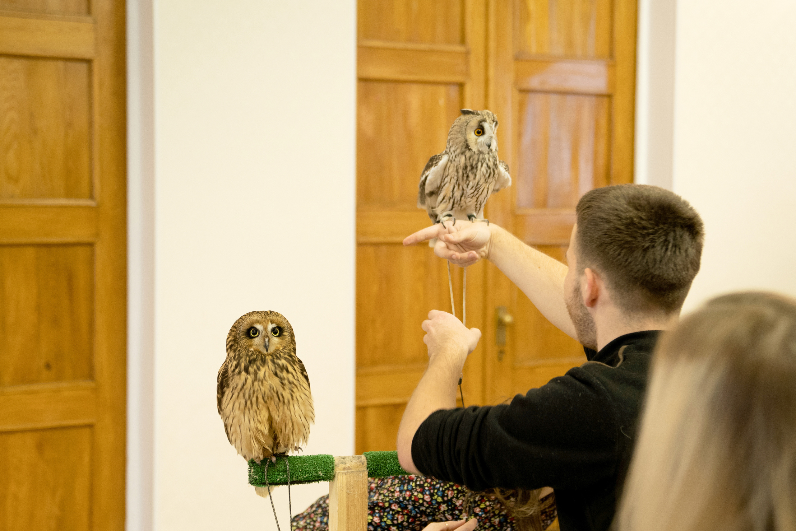 Фестиваль «Солянка». Репортажный фотограф Света Асадчая