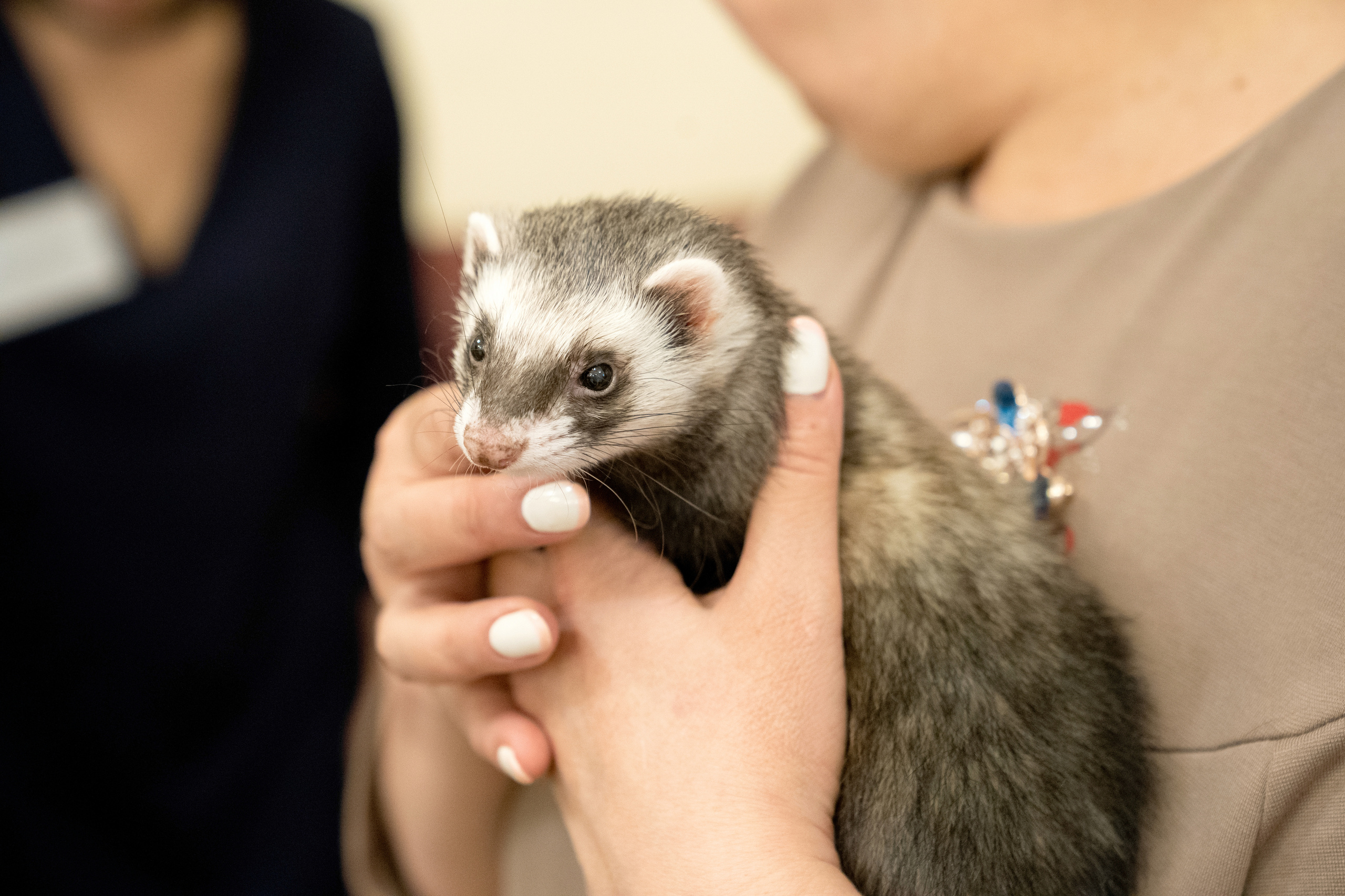 Фестиваль «Солянка». Репортажный фотограф Света Асадчая