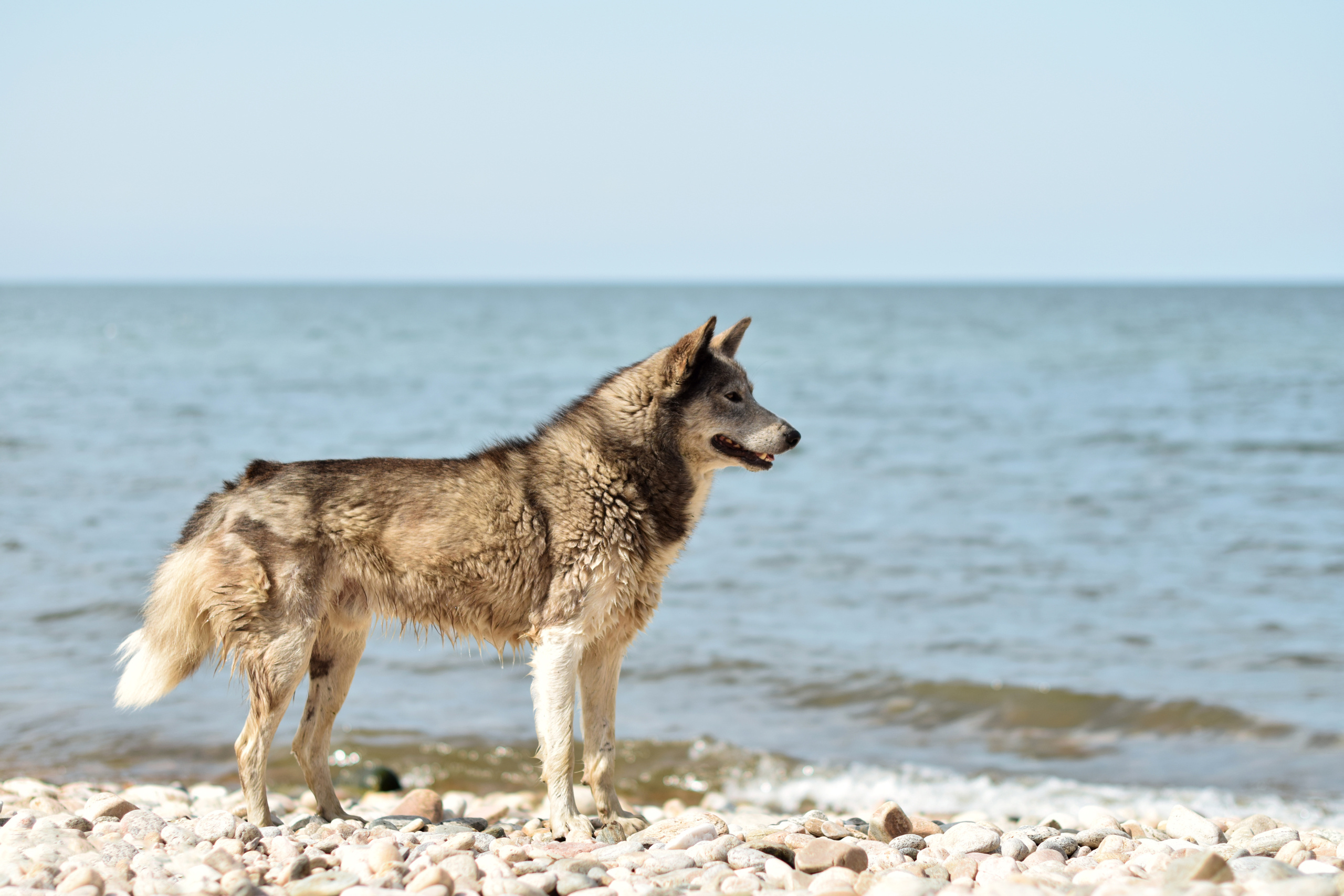Байкал. Репортажный фотограф Света Асадчая