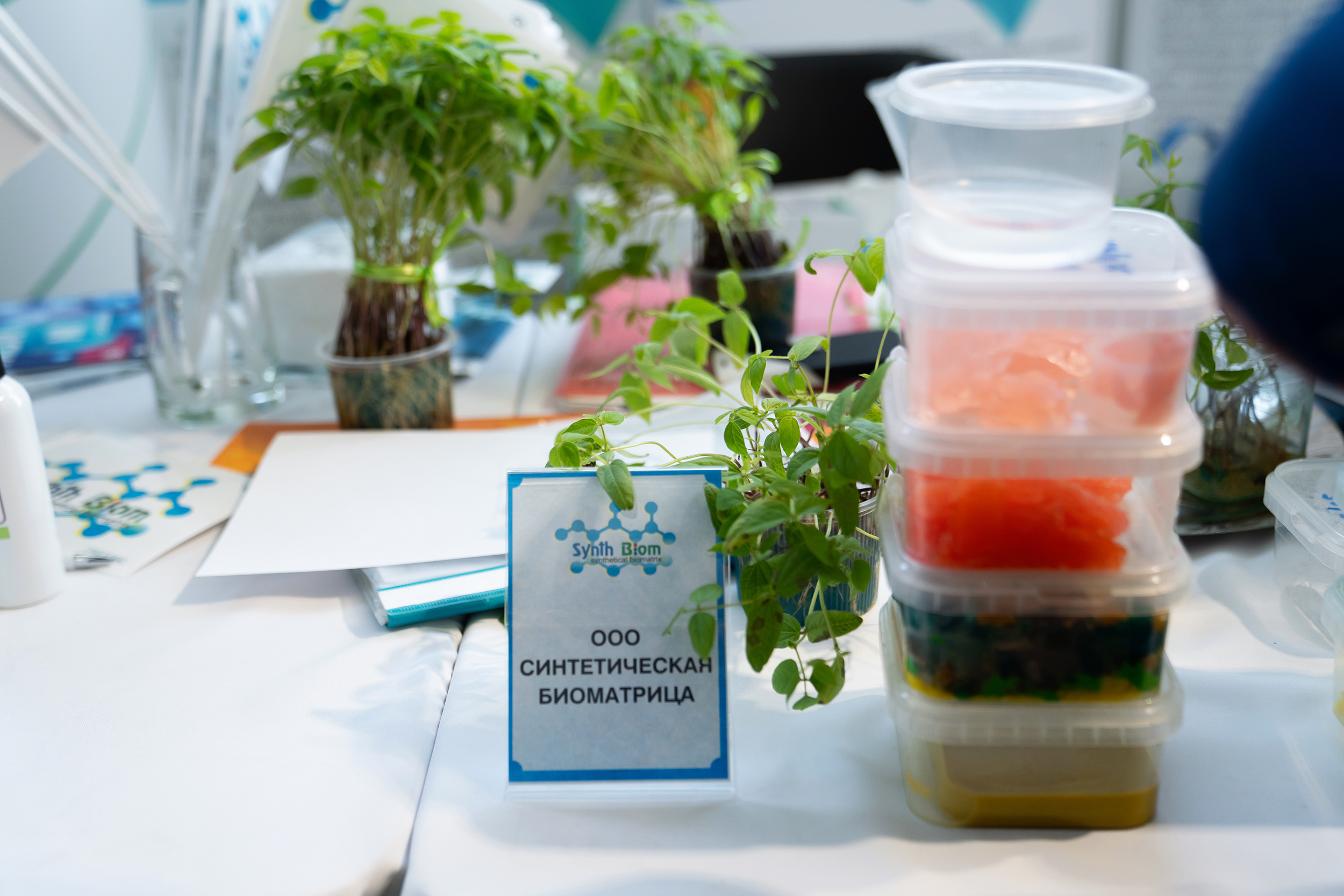 OpenBIO. Репортажный фотограф Света Асадчая