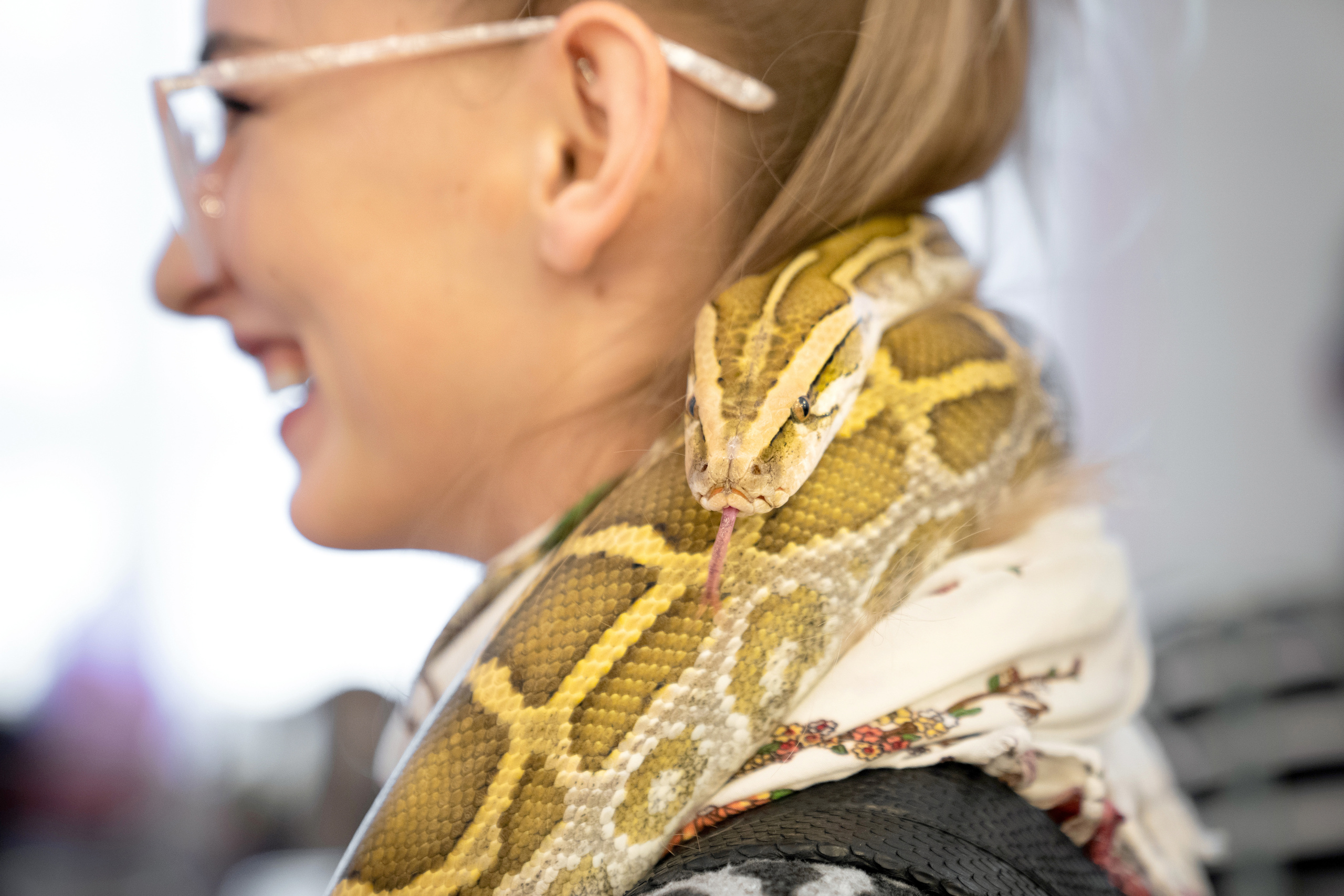 Фестиваль «Солянка». Репортажный фотограф Света Асадчая