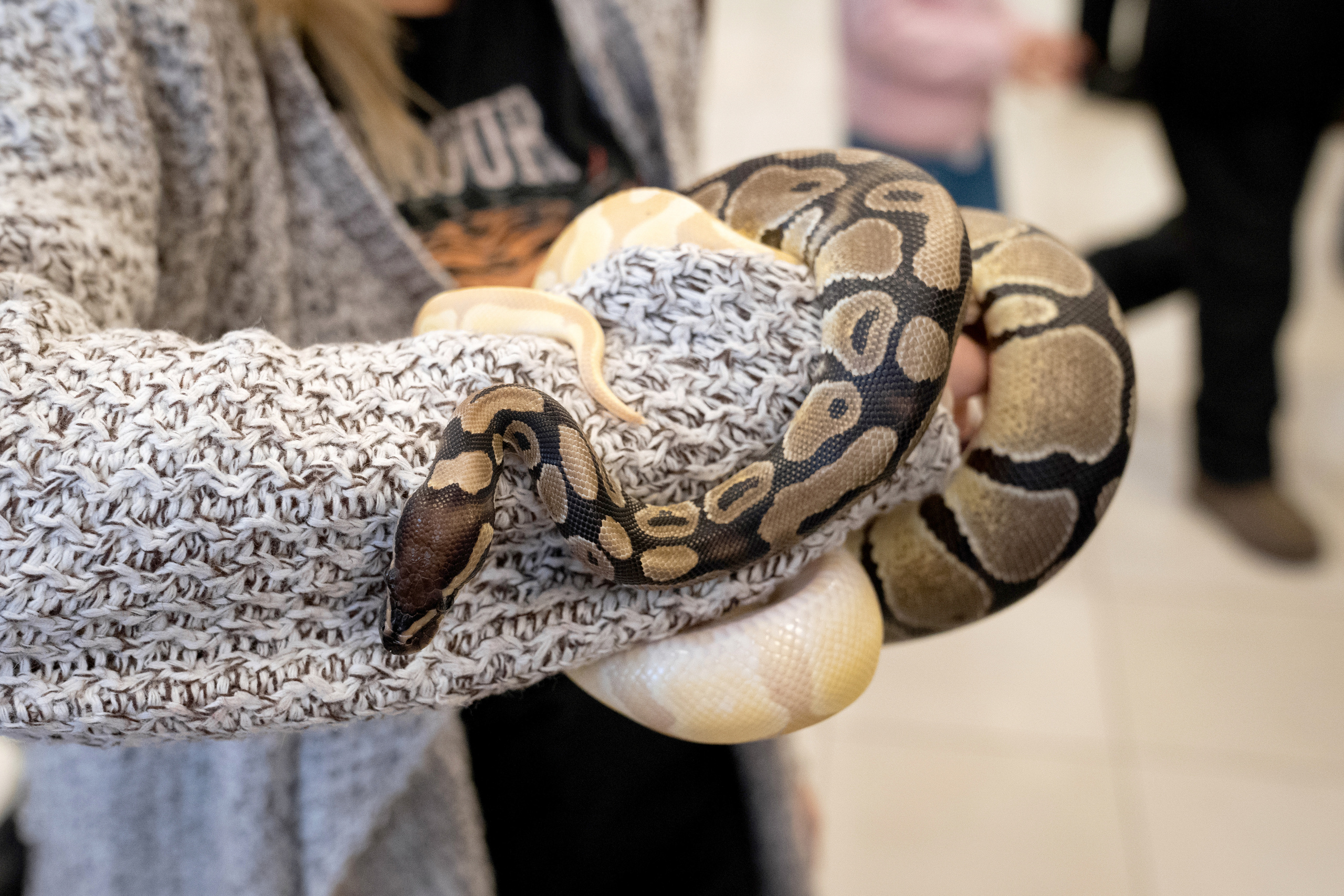 Фестиваль «Солянка». Репортажный фотограф Света Асадчая