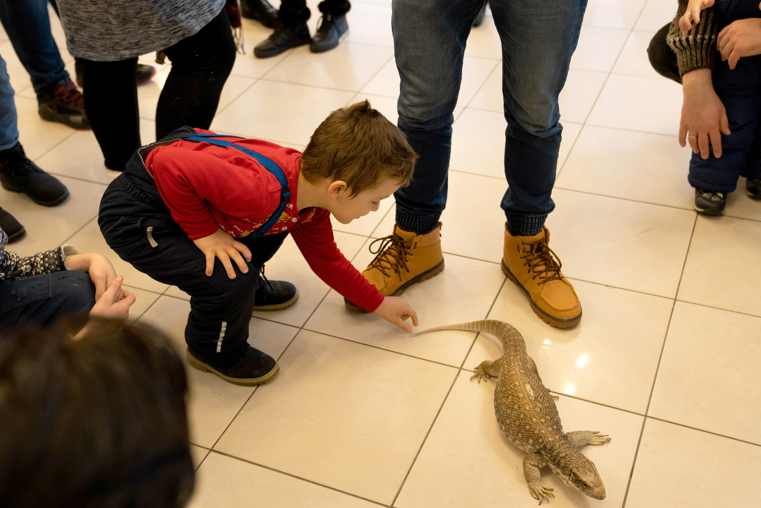 Фестиваль «Солянка». Репортажный фотограф Света Асадчая