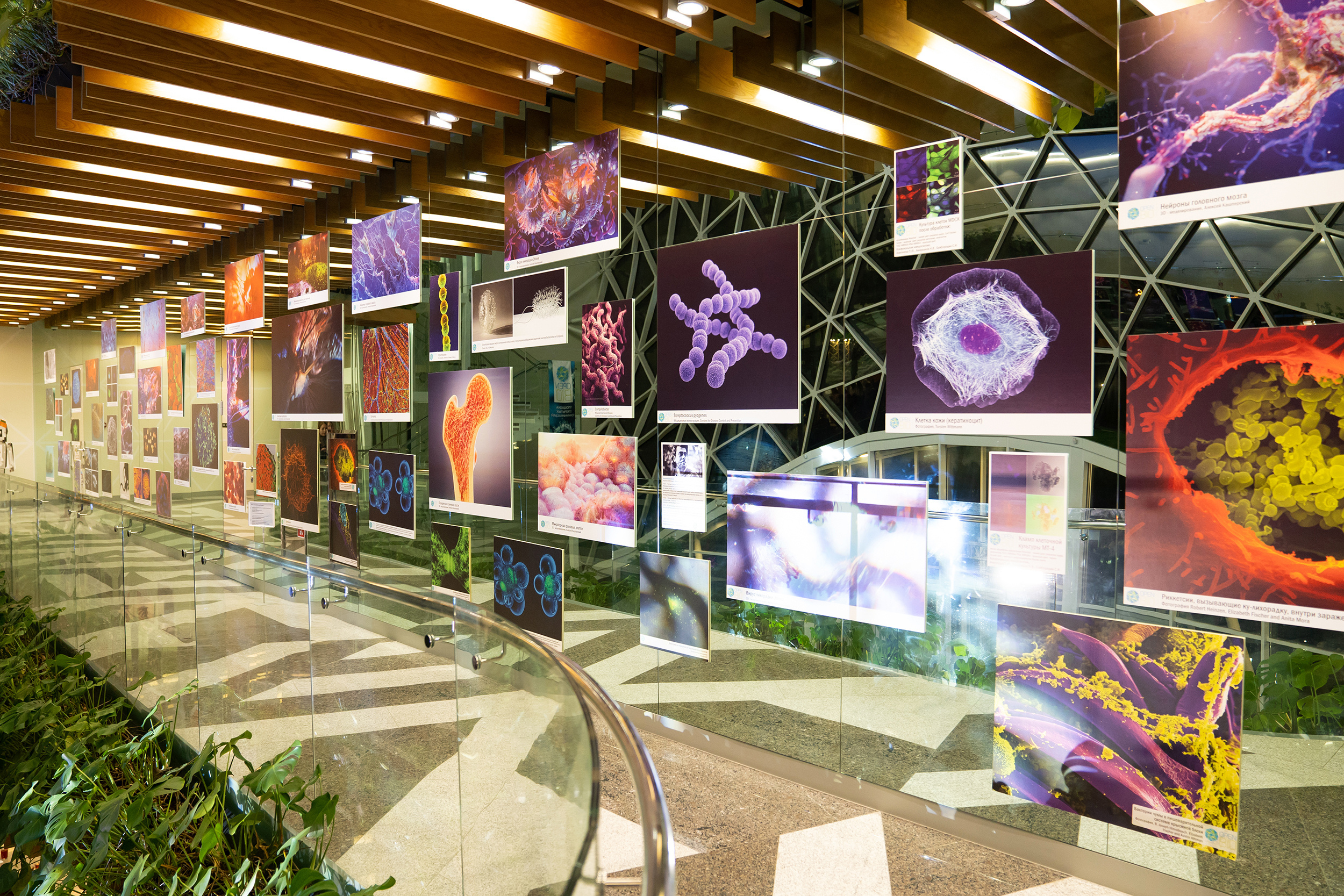 OpenBIO. Репортажный фотограф Света Асадчая