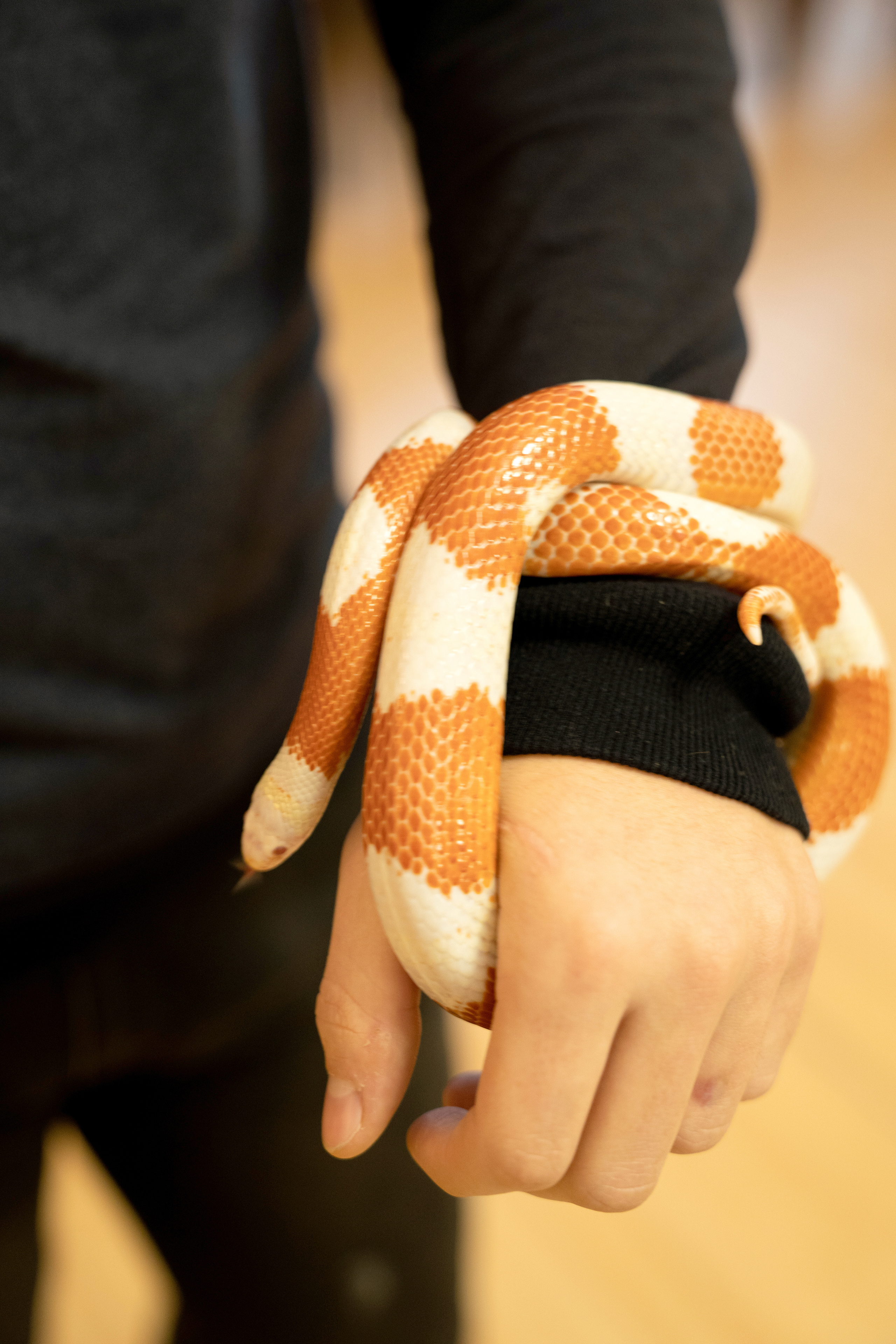 Фестиваль «Солянка». Репортажный фотограф Света Асадчая