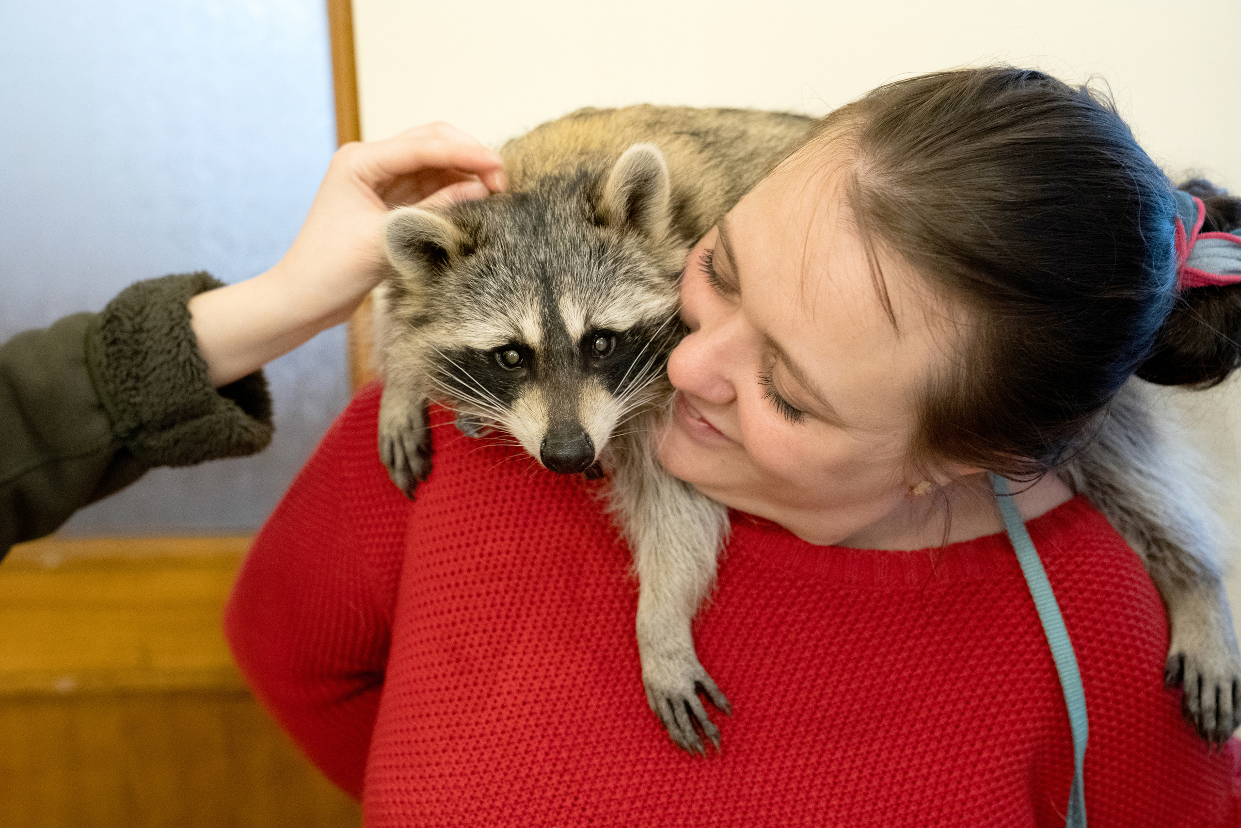 Фестиваль «Солянка». Репортажный фотограф Света Асадчая