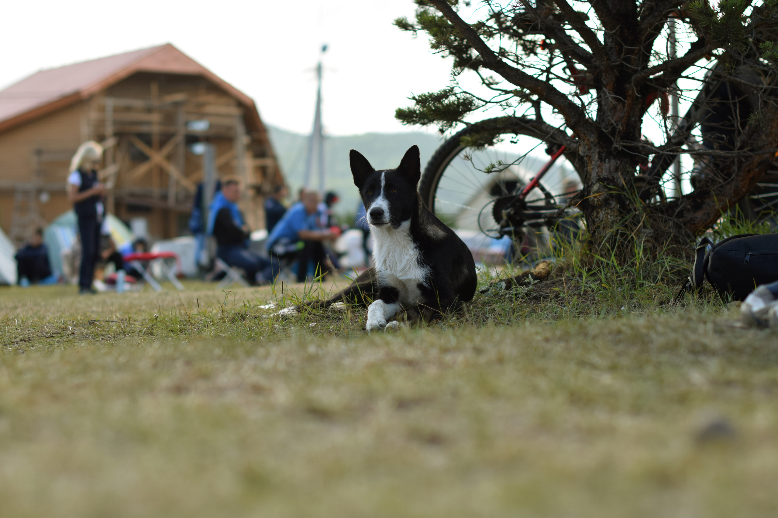 Байкал. Репортажный фотограф Света Асадчая