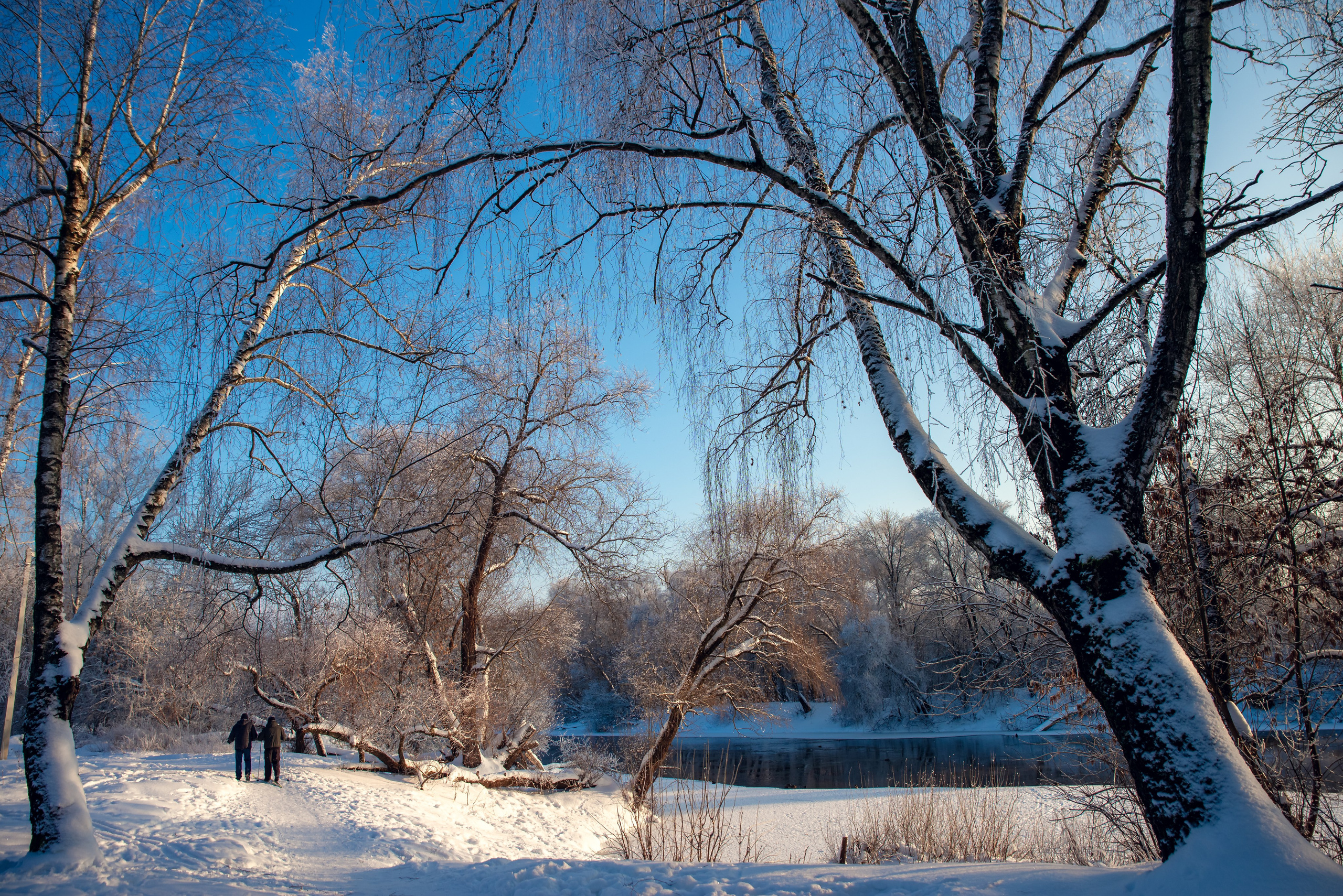 Зимушка зима. Фотограф Крещение Венчание Москва