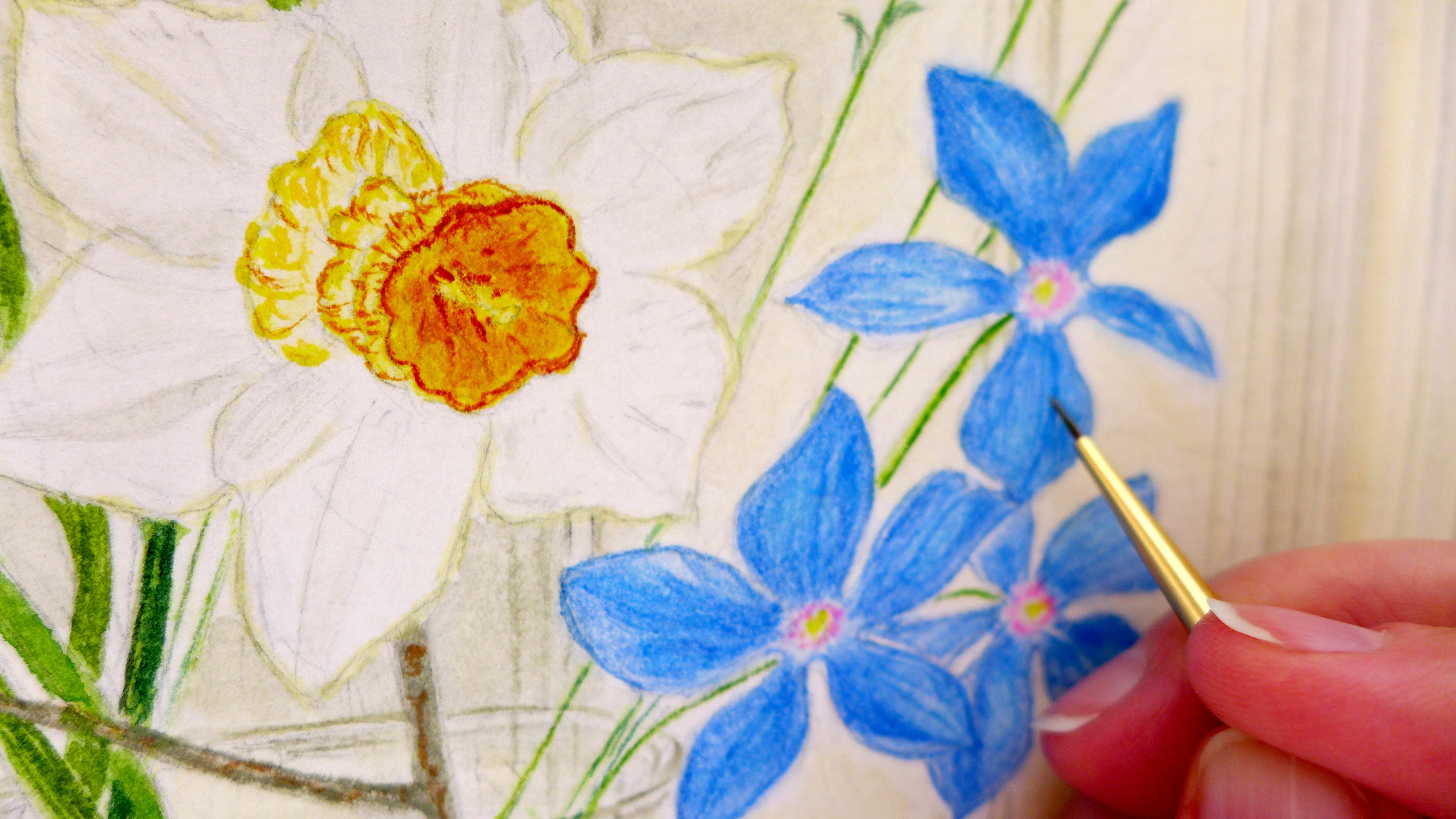 Арт. Photo-gerz.ru