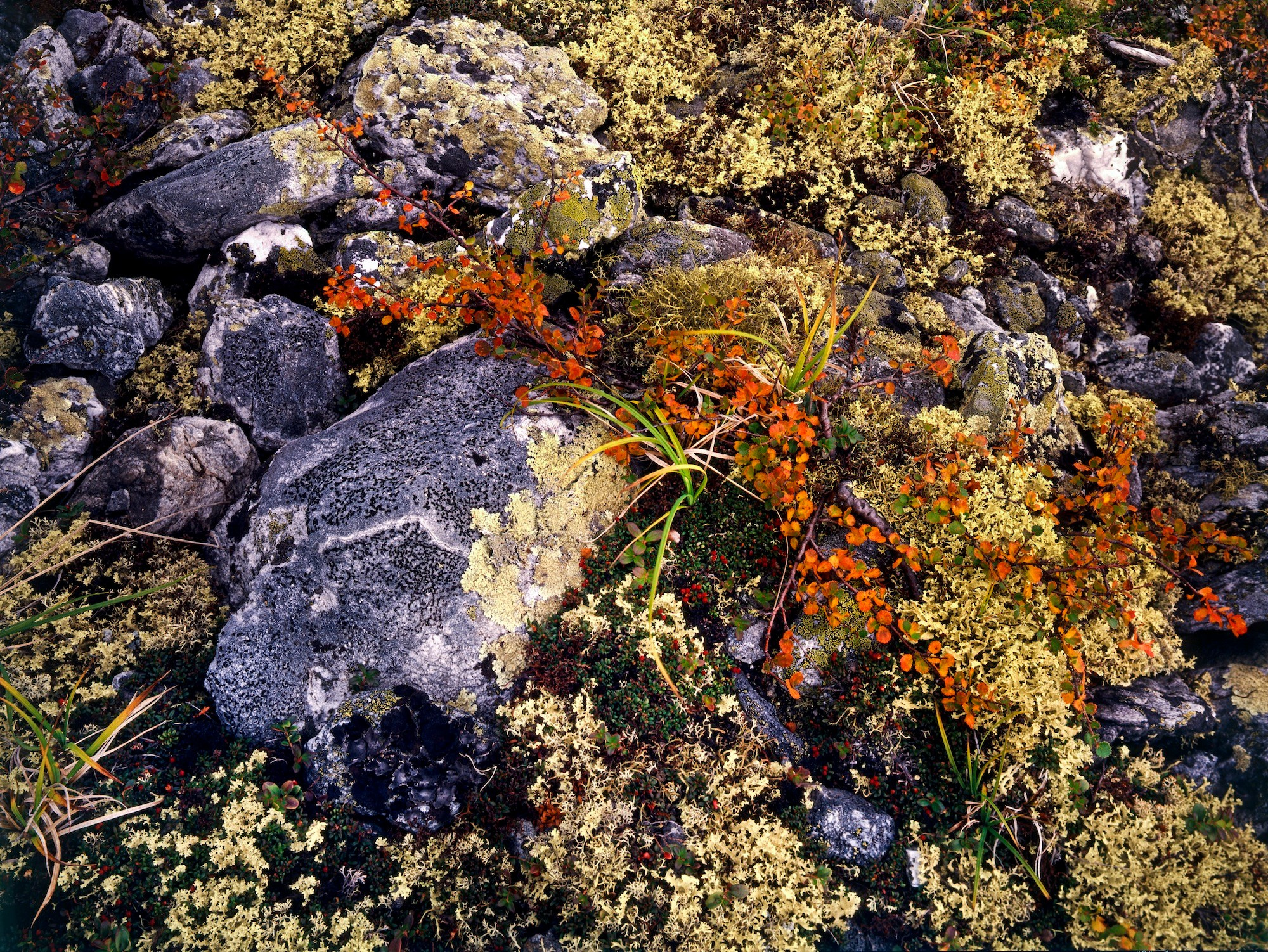Урал. ВАДИМ ГИППЕНРЕЙТЕР — ВЕЛИКИЙ ФОТОГРАФ ЗЕМЛИ РУССКОЙ
