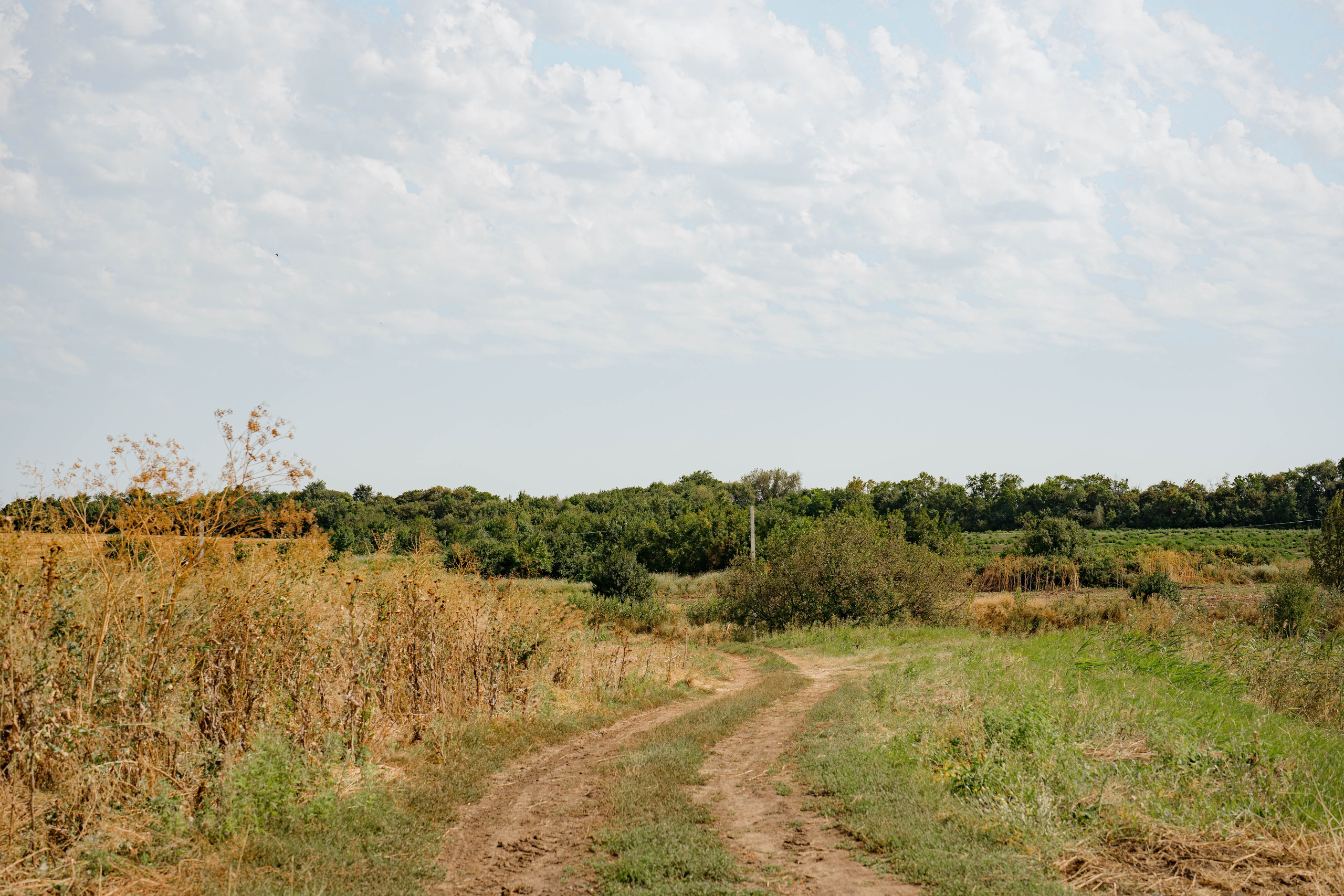 ASS FAMILY | СОН В ДЕРЕВНЕ | АВИАРЕЖИМ 8.0