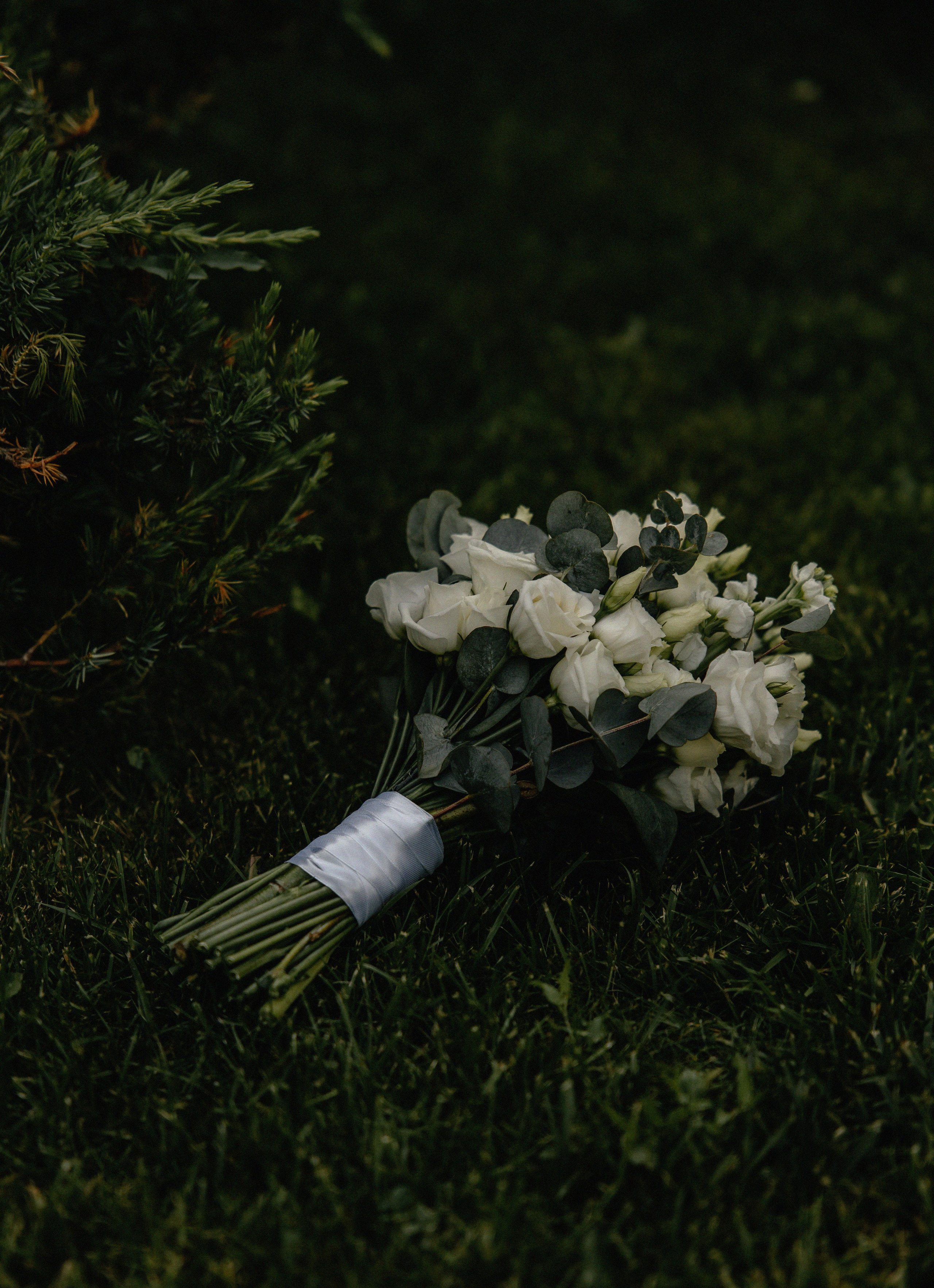 Айдар&Резеда (никах). Фотограф Арина Елизарова