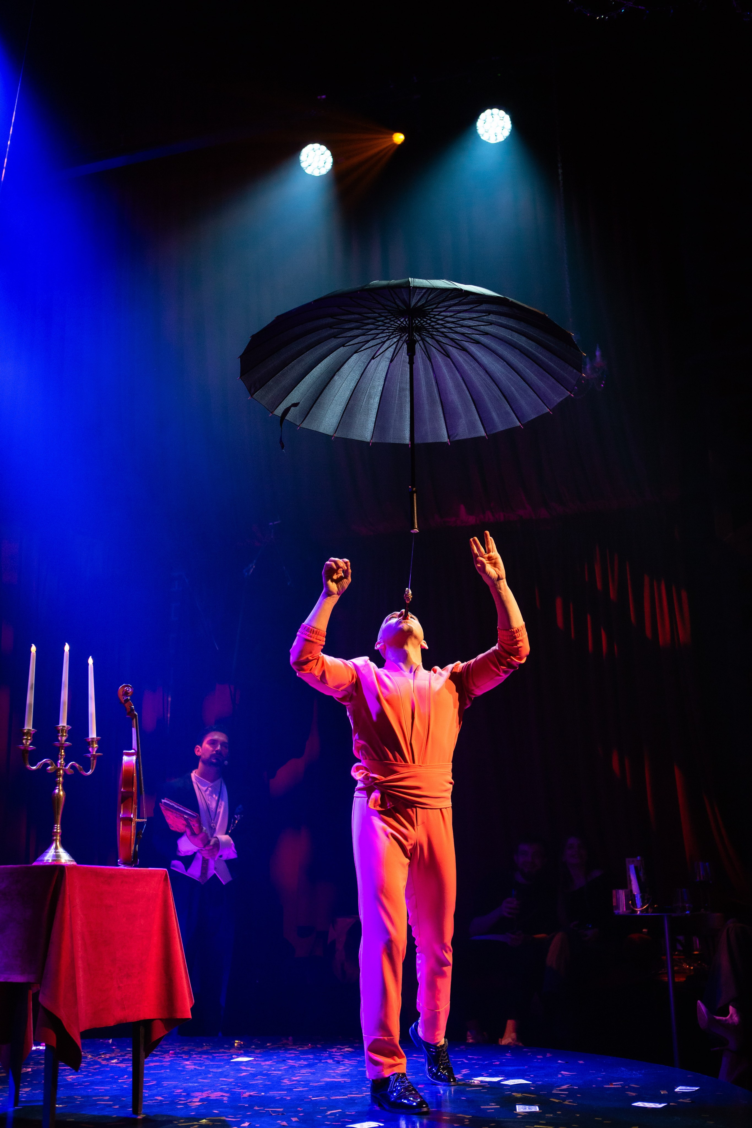 Цирковое шоу. Видеограф Добромыслов