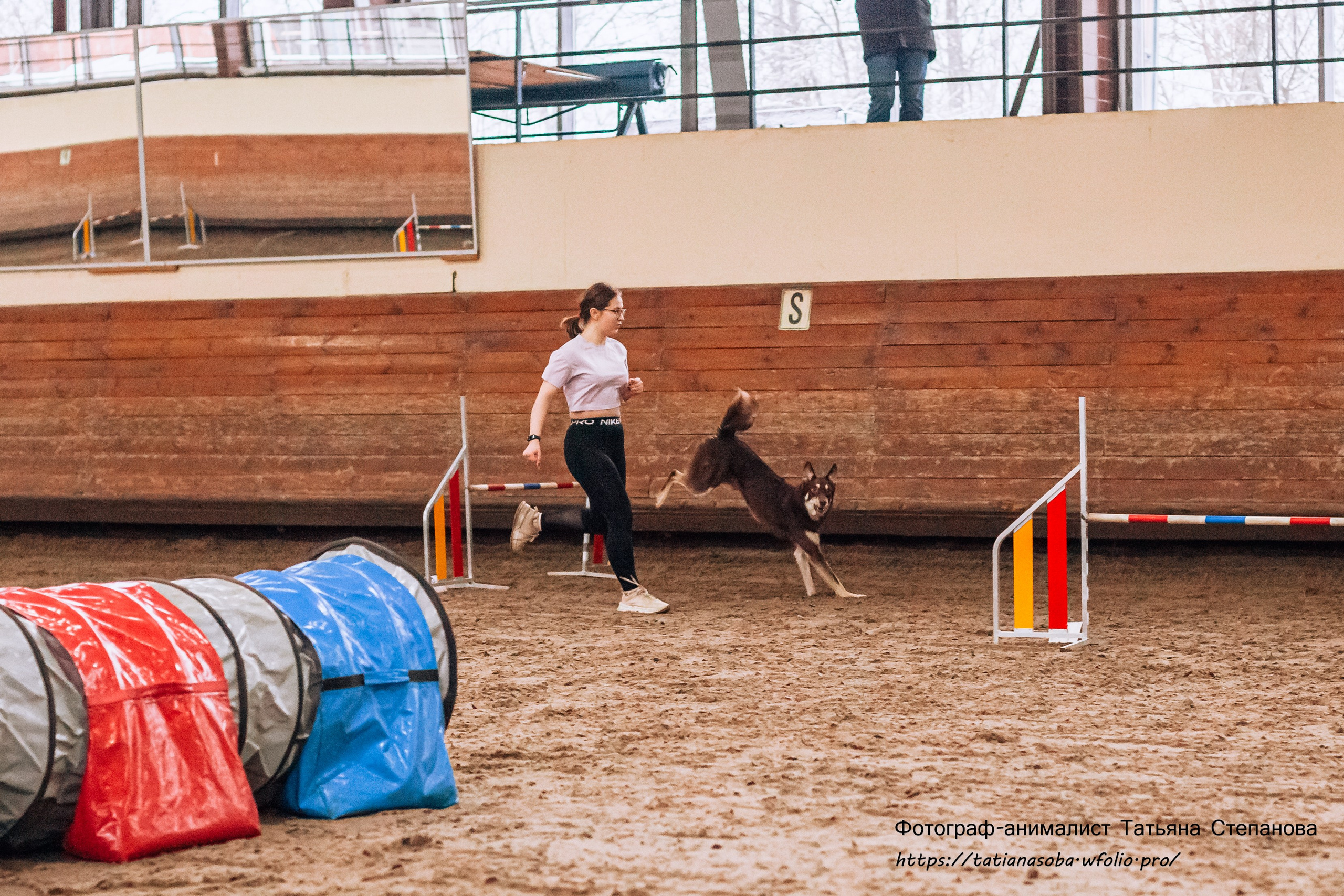 Соревнования по Аджилити 25.02.2024. Фотограф-анималист Татьяна Степанова