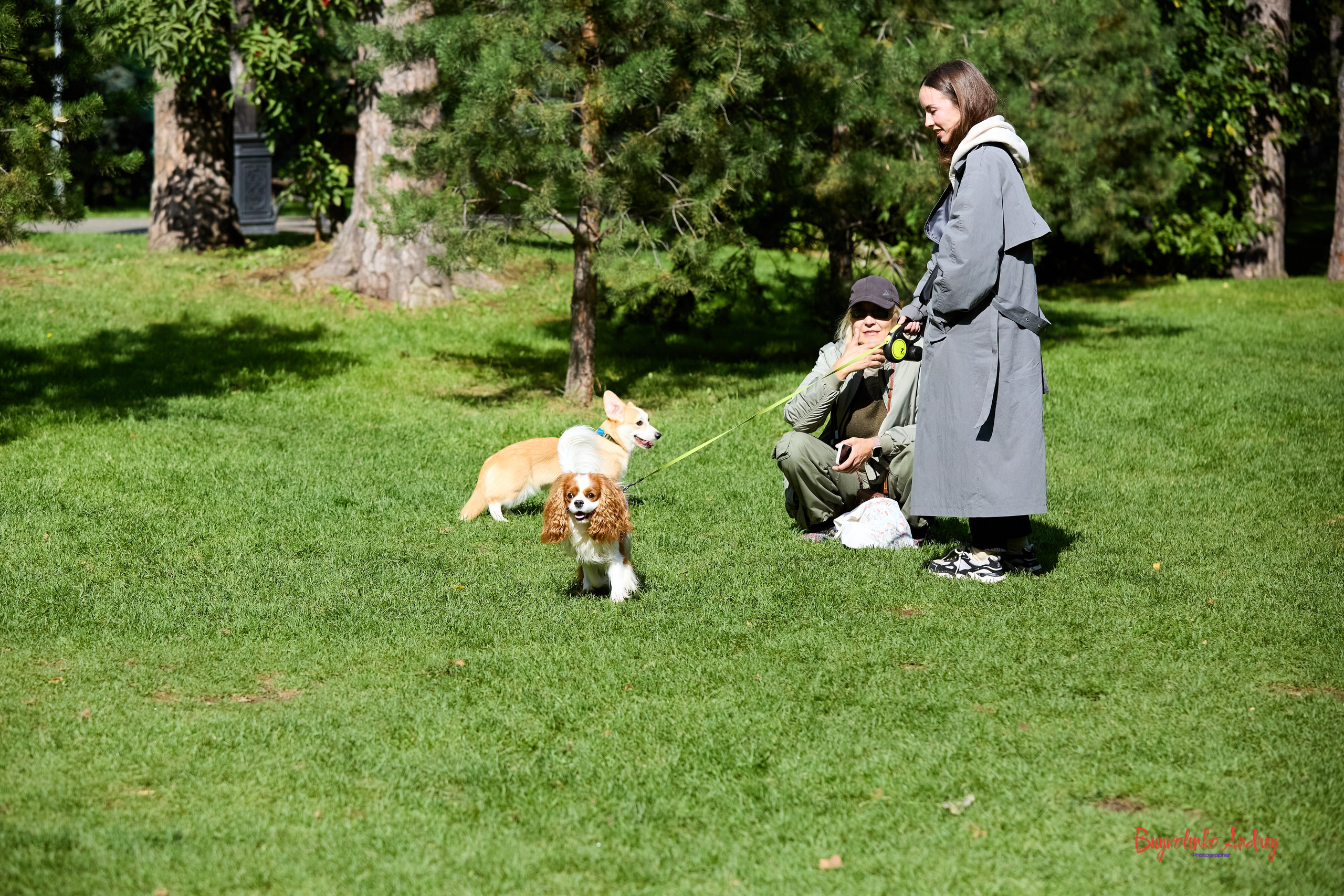 Фотопрогулка с кавалерами. Buyvolenko Andrey