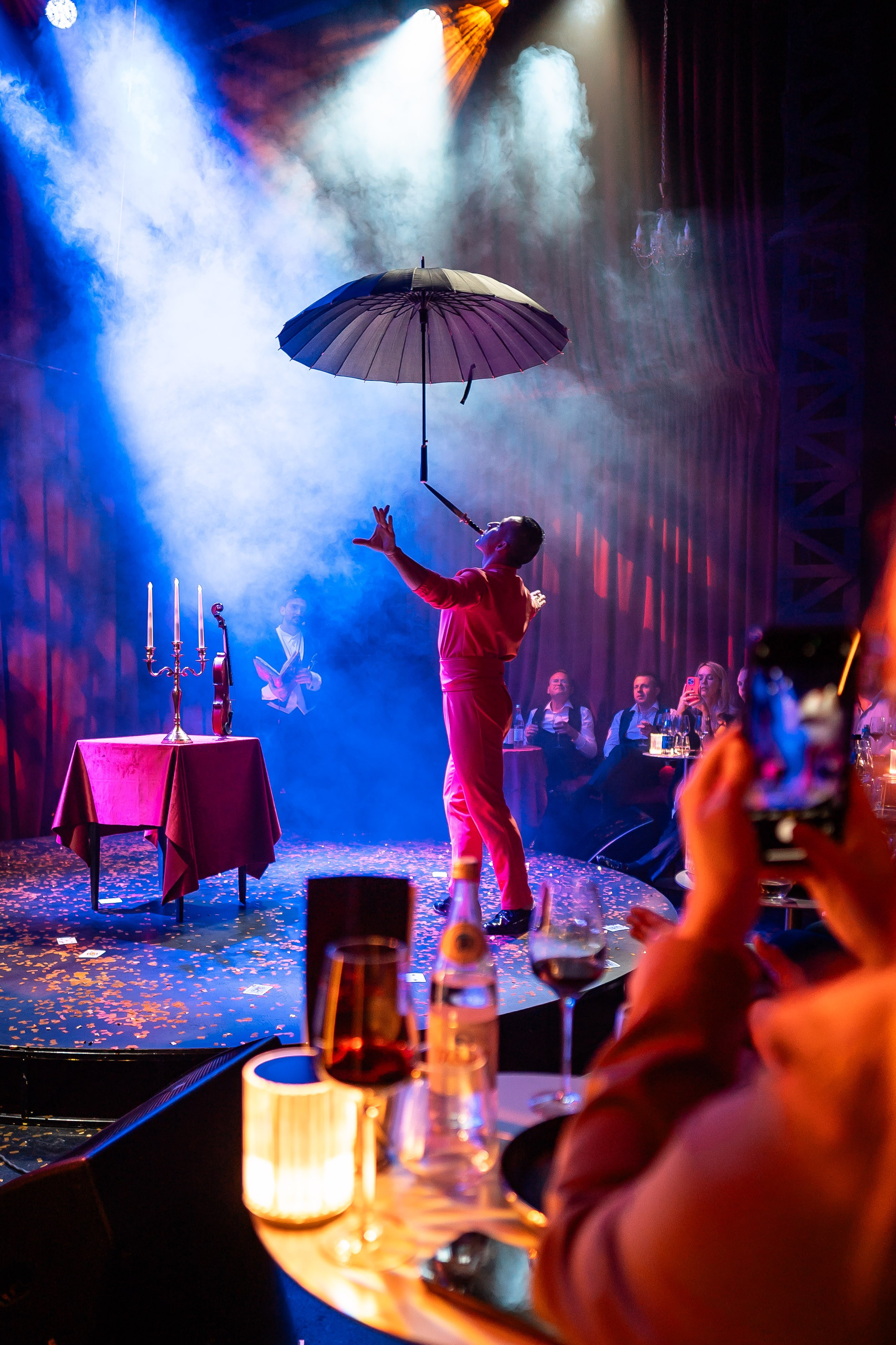 Цирковое шоу. Видеограф Добромыслов