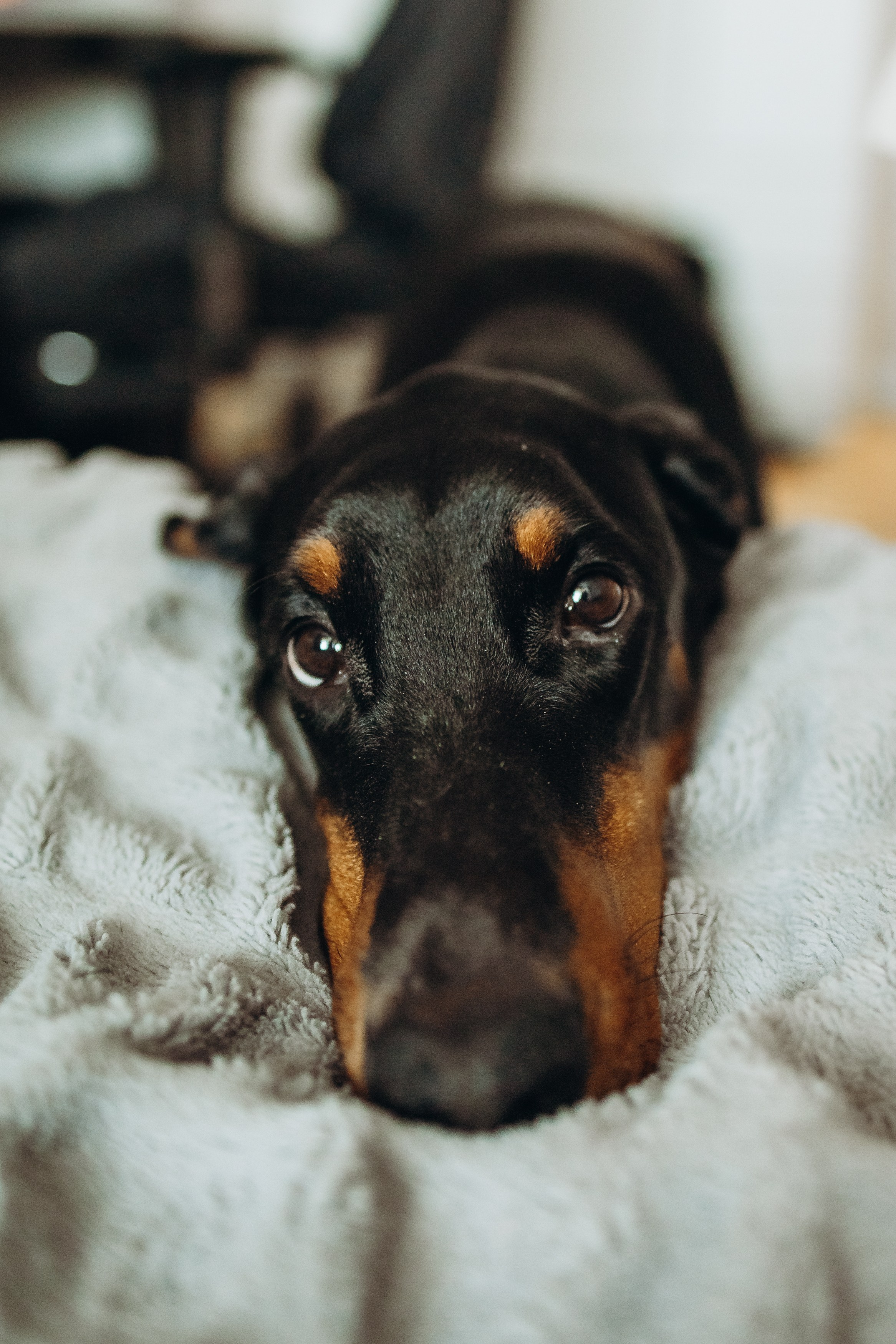 Ньюборн Алиса. Семейный, ньюборн newborn фотограф, фотограф новорождённых в Санкт-Петербурге, Пушкине, Павловске. Павлова Анастасия